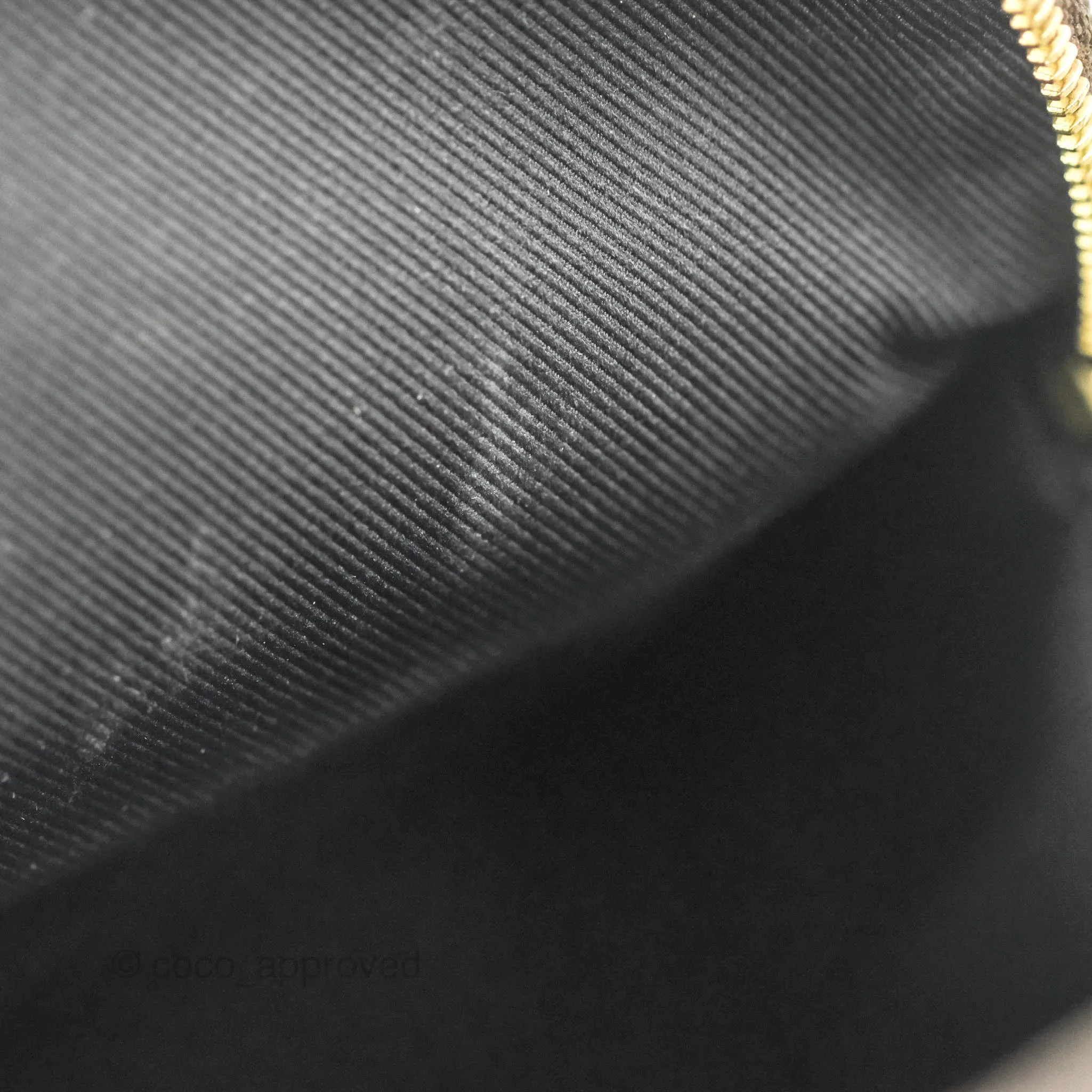 Louis Vuitton Monogram Mini Palm Springs Backpack