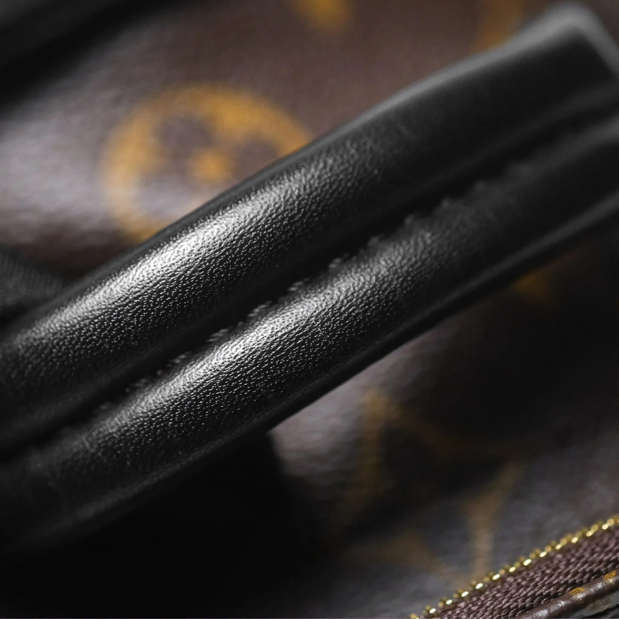 Louis Vuitton Monogram Mini Palm Springs Backpack