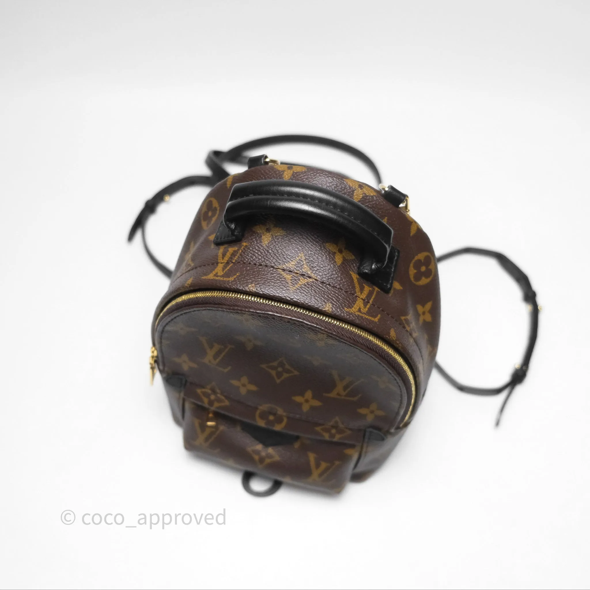 Louis Vuitton Monogram Mini Palm Springs Backpack