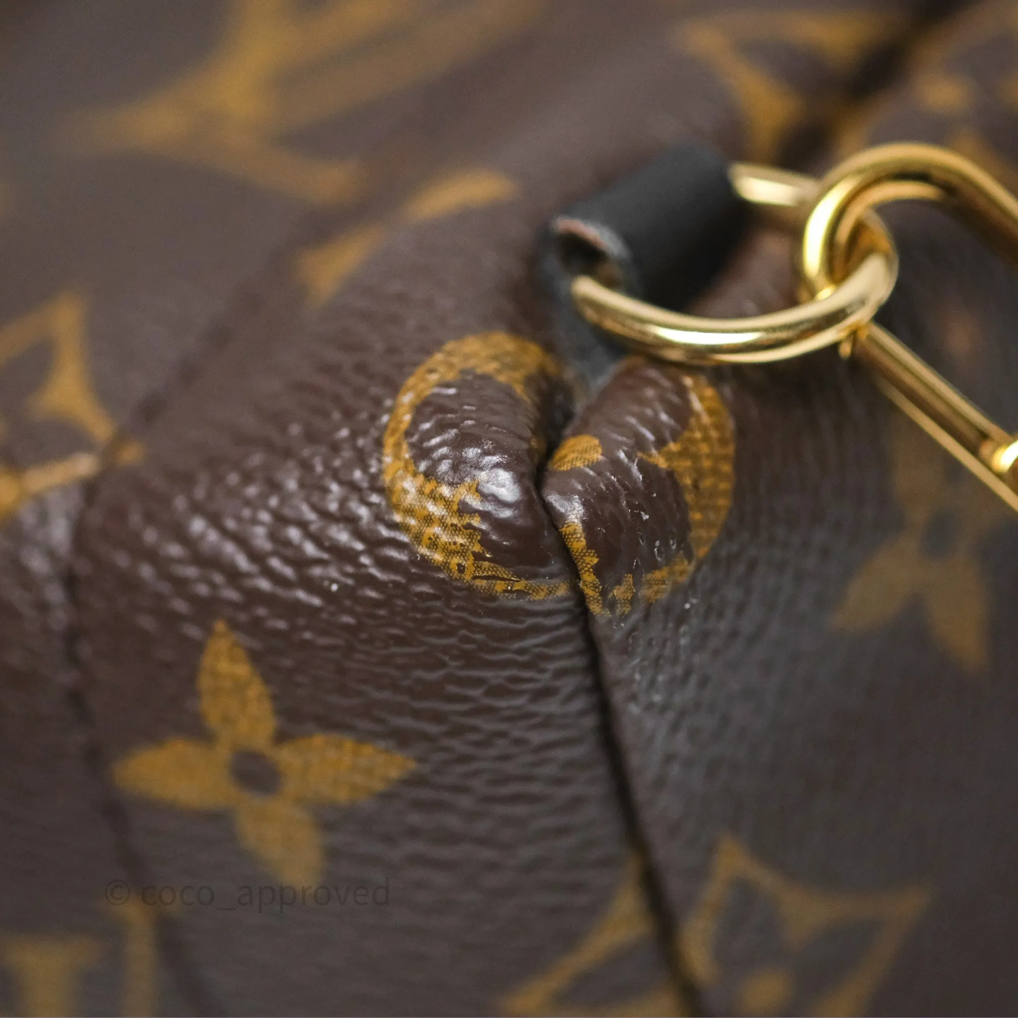 Louis Vuitton Monogram Mini Palm Springs Backpack