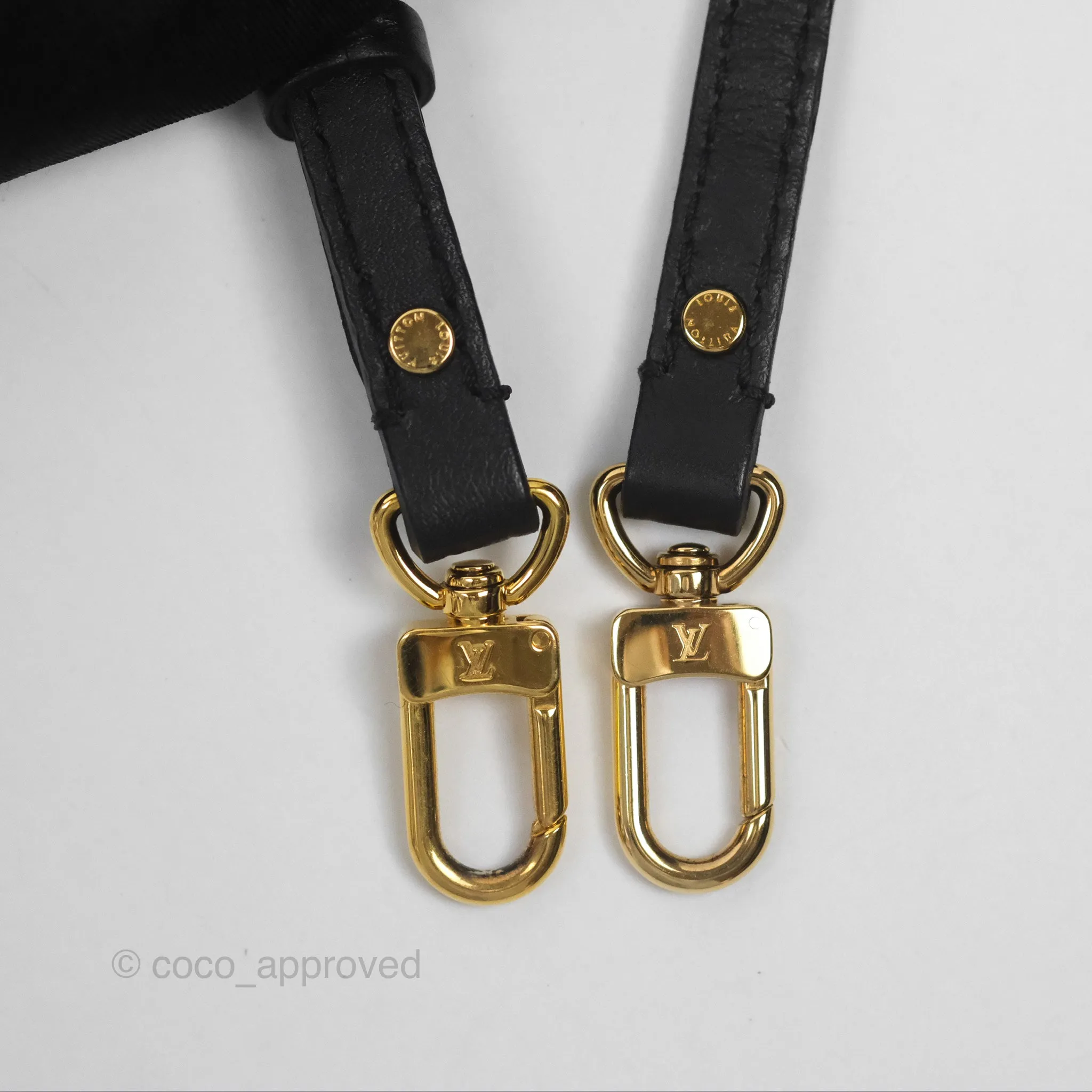 Louis Vuitton Monogram Mini Palm Springs Backpack