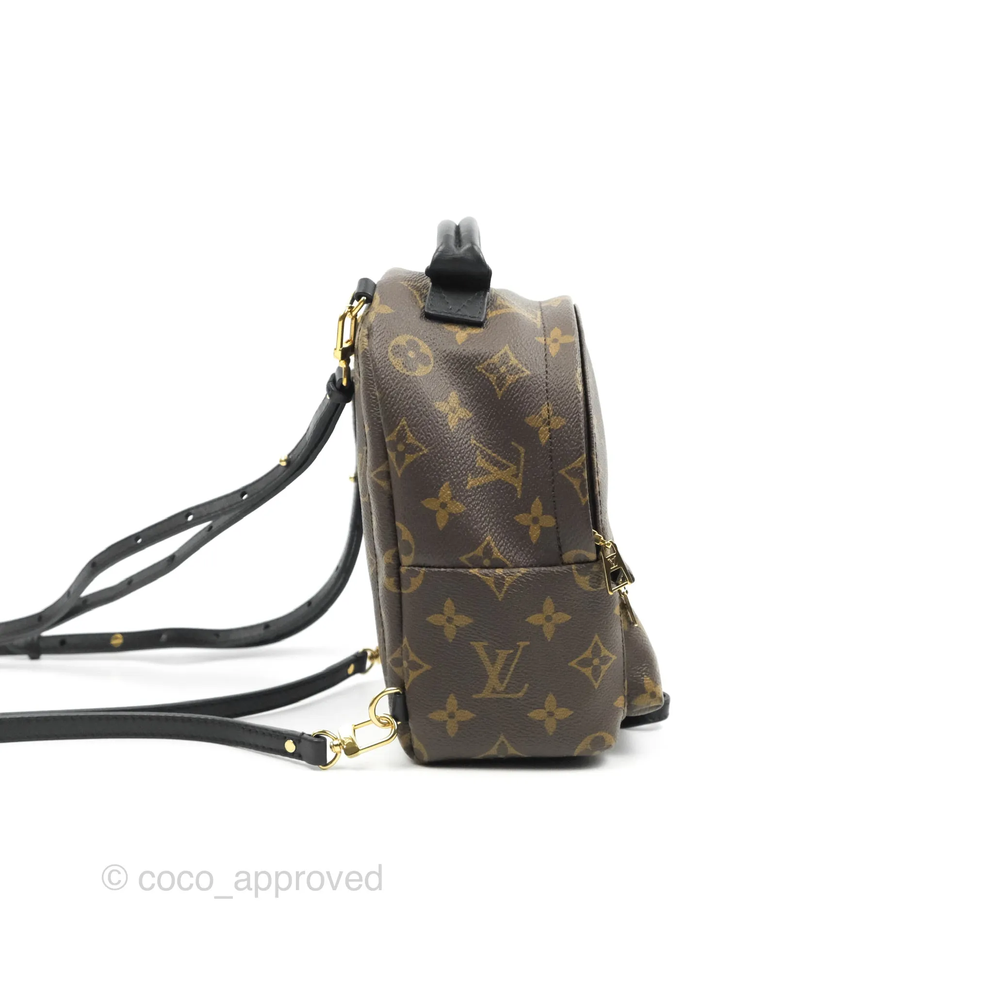 Louis Vuitton Monogram Mini Palm Springs Backpack