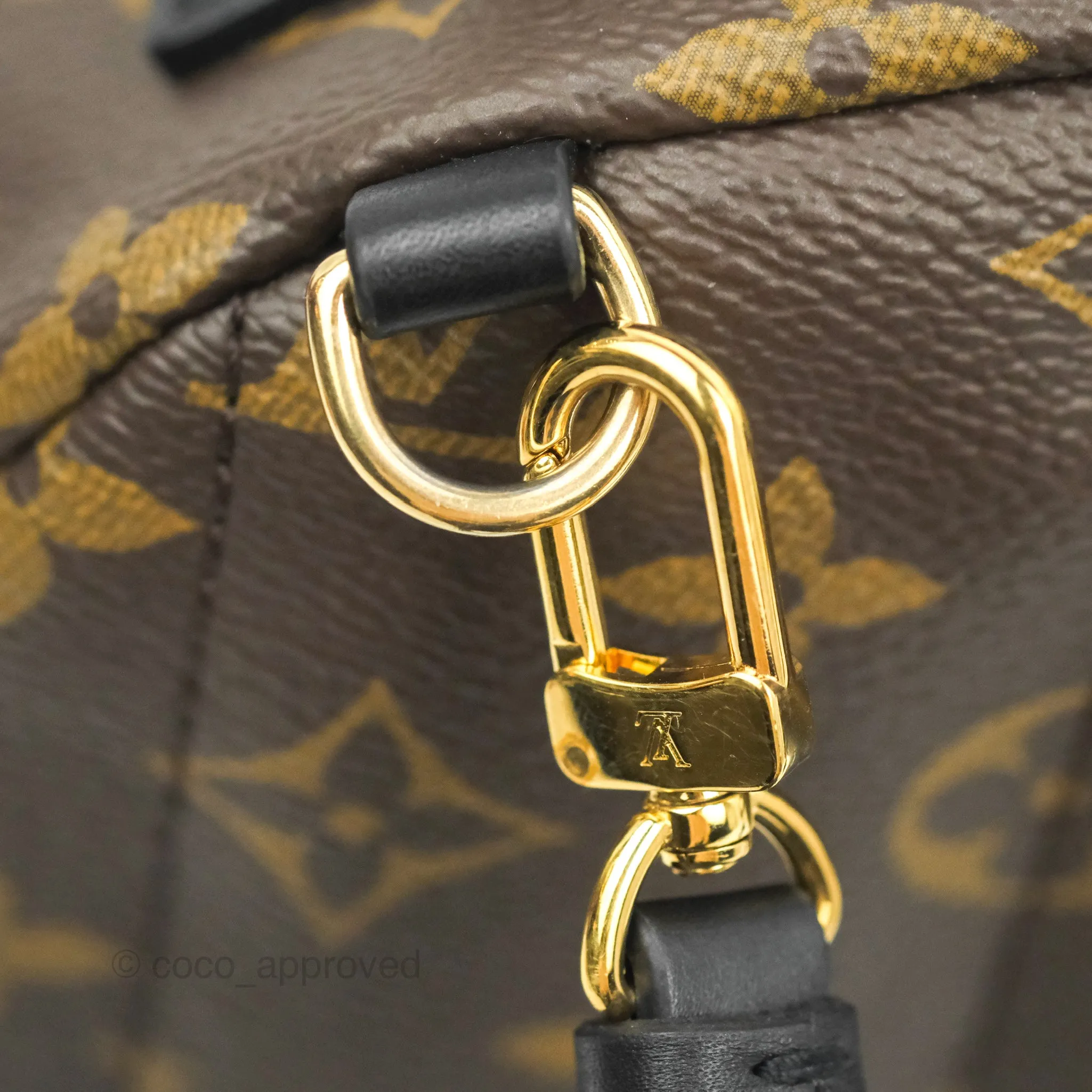 Louis Vuitton Monogram Mini Palm Springs Backpack