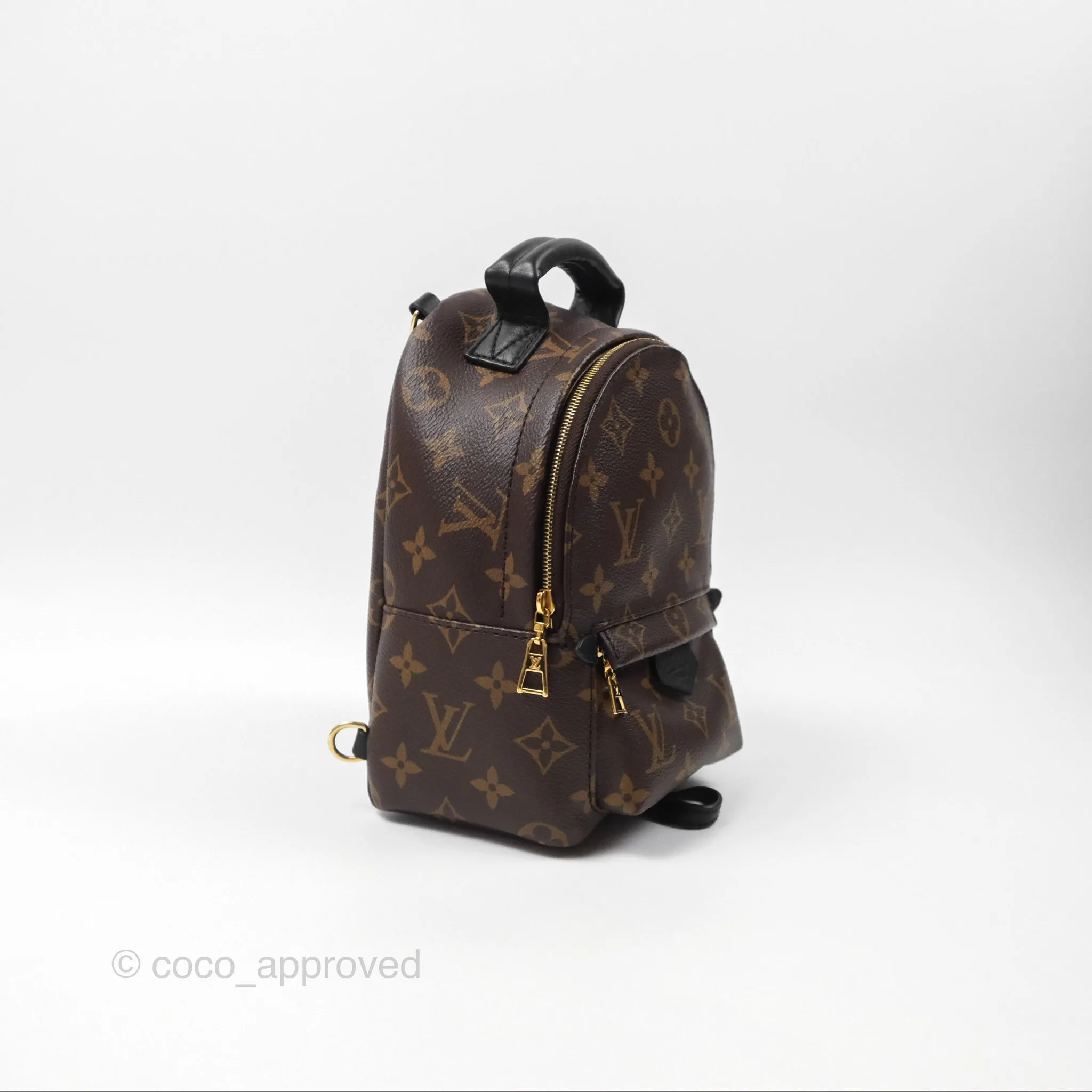 Louis Vuitton Monogram Mini Palm Springs Backpack