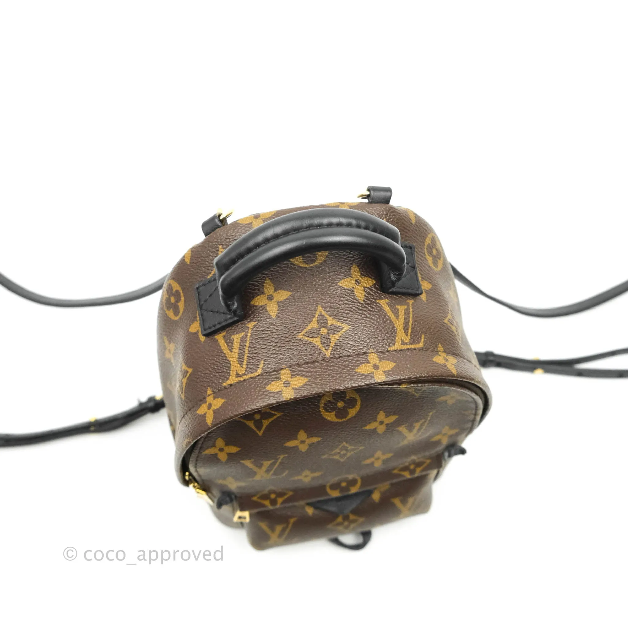 Louis Vuitton Monogram Mini Palm Springs Backpack