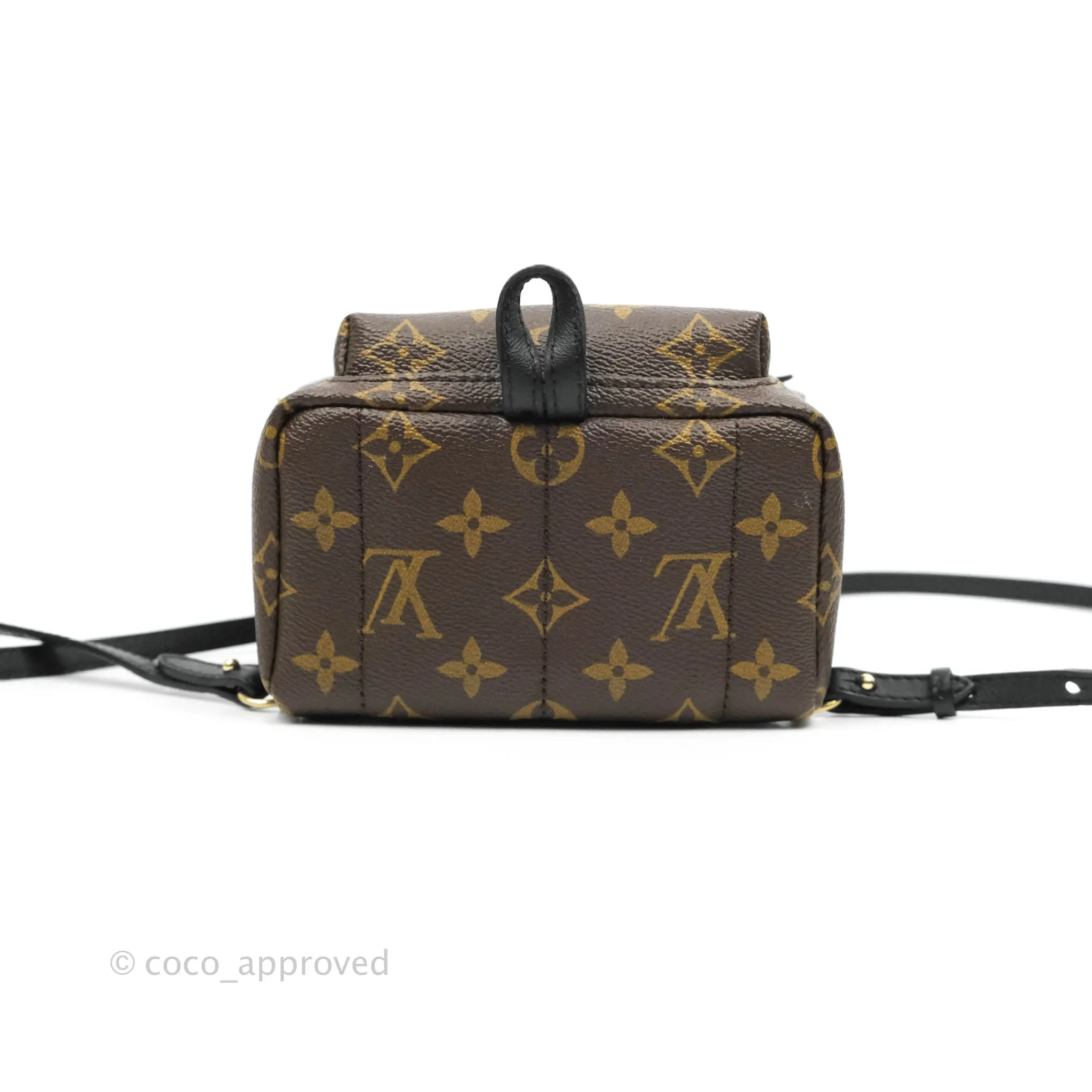 Louis Vuitton Monogram Mini Palm Springs Backpack