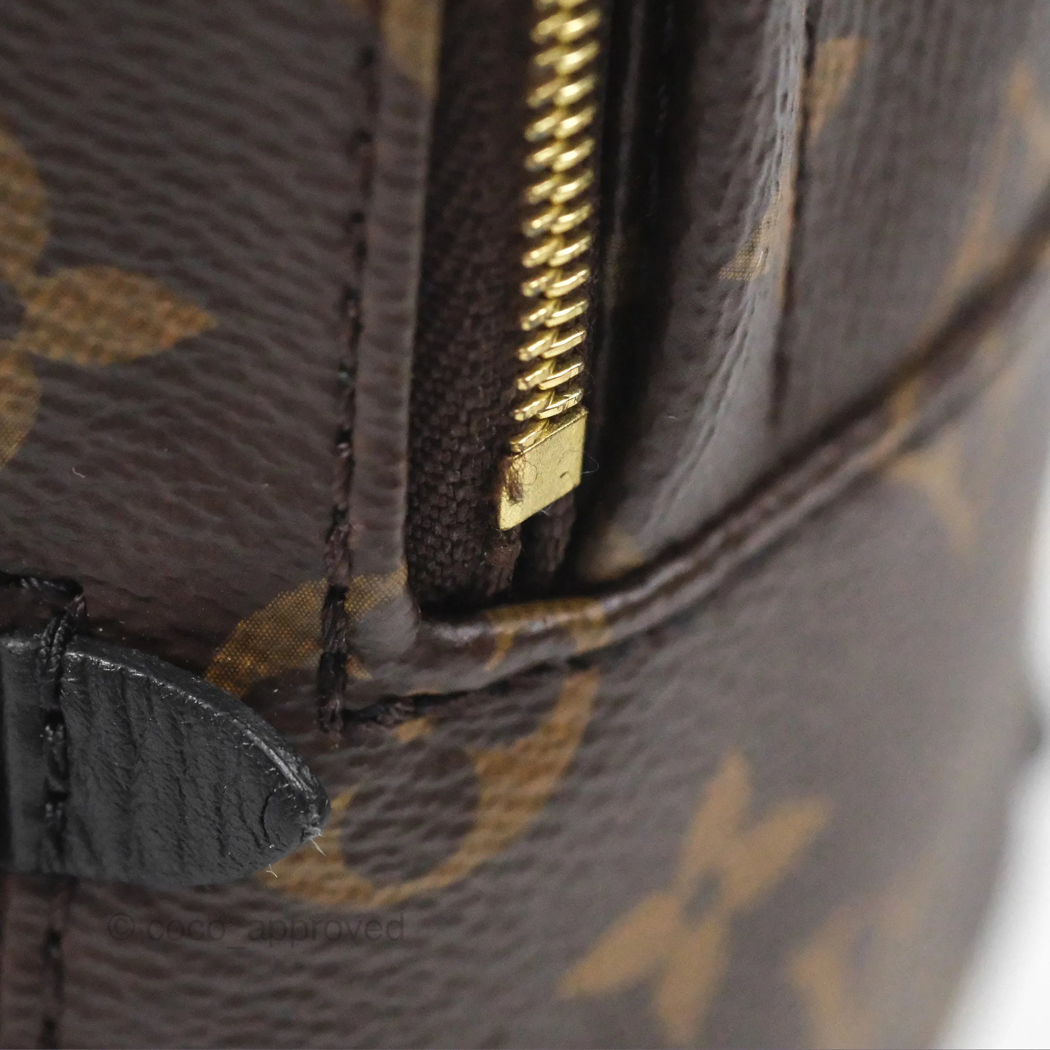 Louis Vuitton Monogram Mini Palm Springs Backpack
