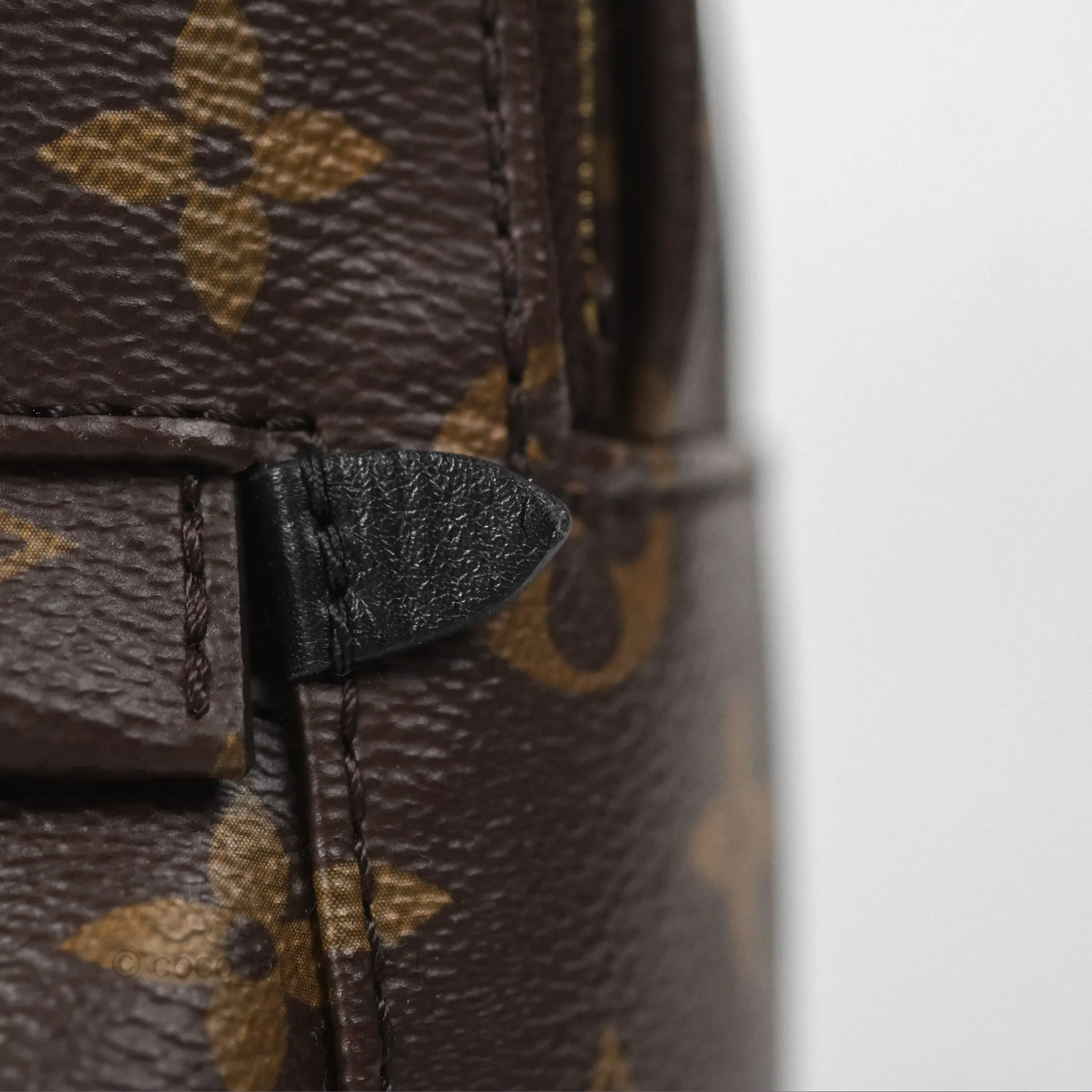 Louis Vuitton Monogram Mini Palm Springs Backpack