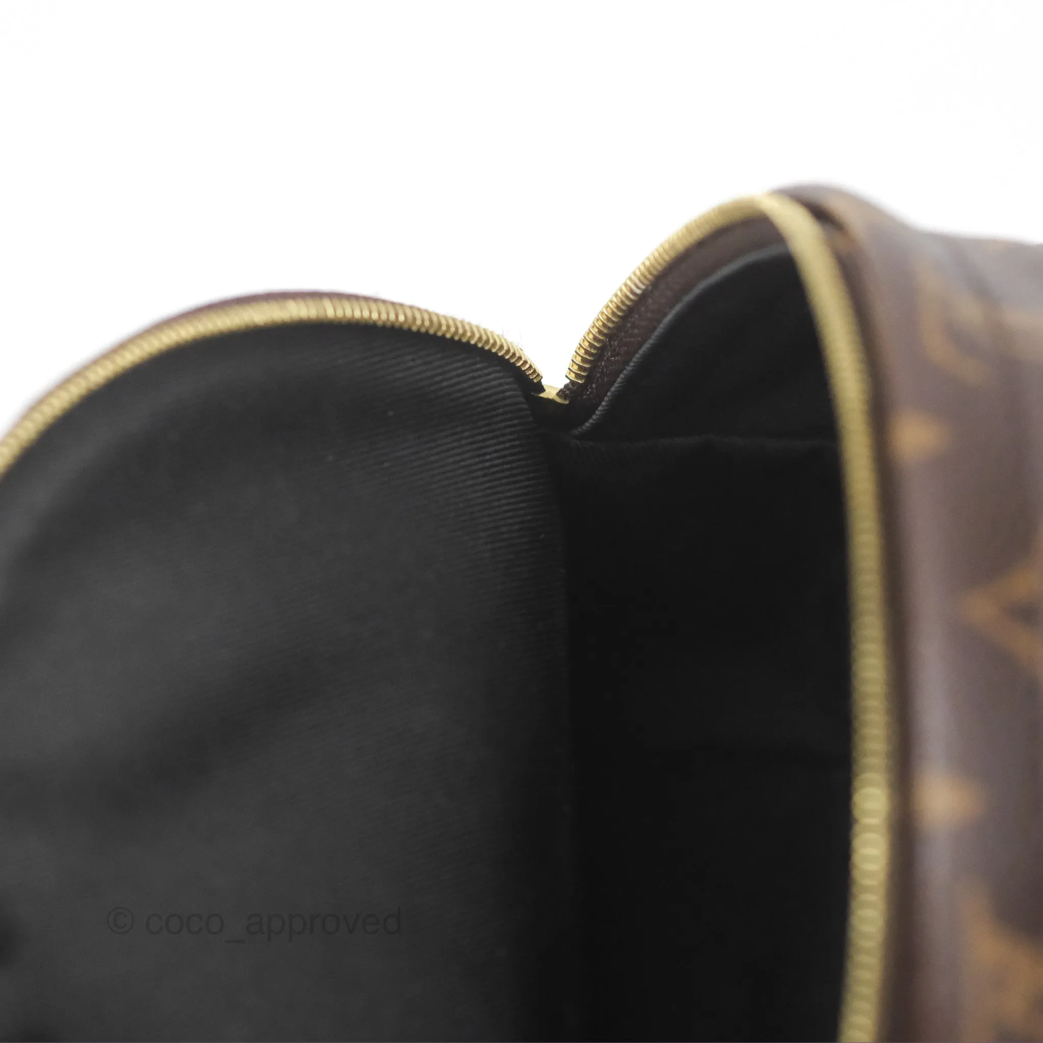 Louis Vuitton Monogram Mini Palm Springs Backpack