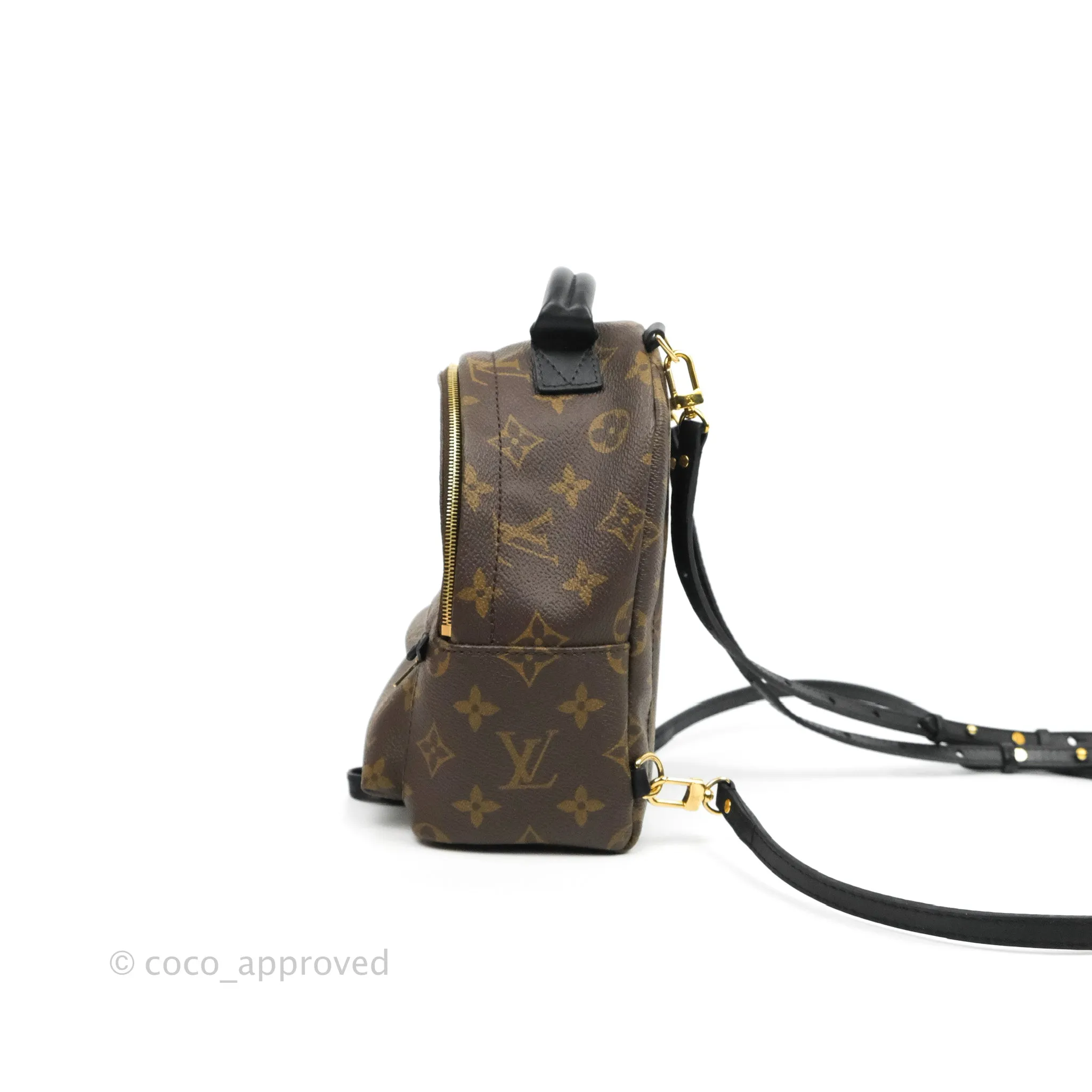 Louis Vuitton Monogram Mini Palm Springs Backpack