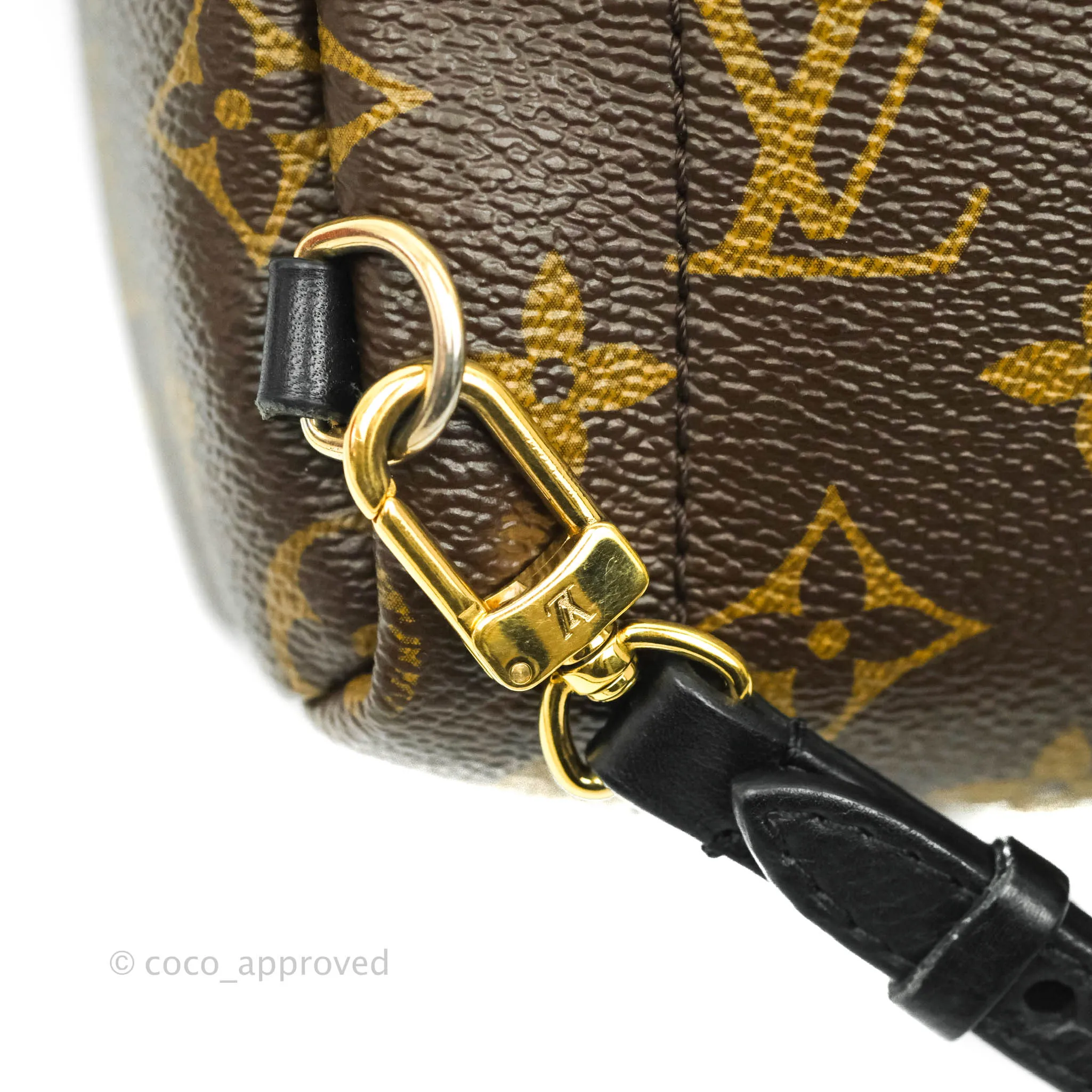 Louis Vuitton Monogram Mini Palm Springs Backpack