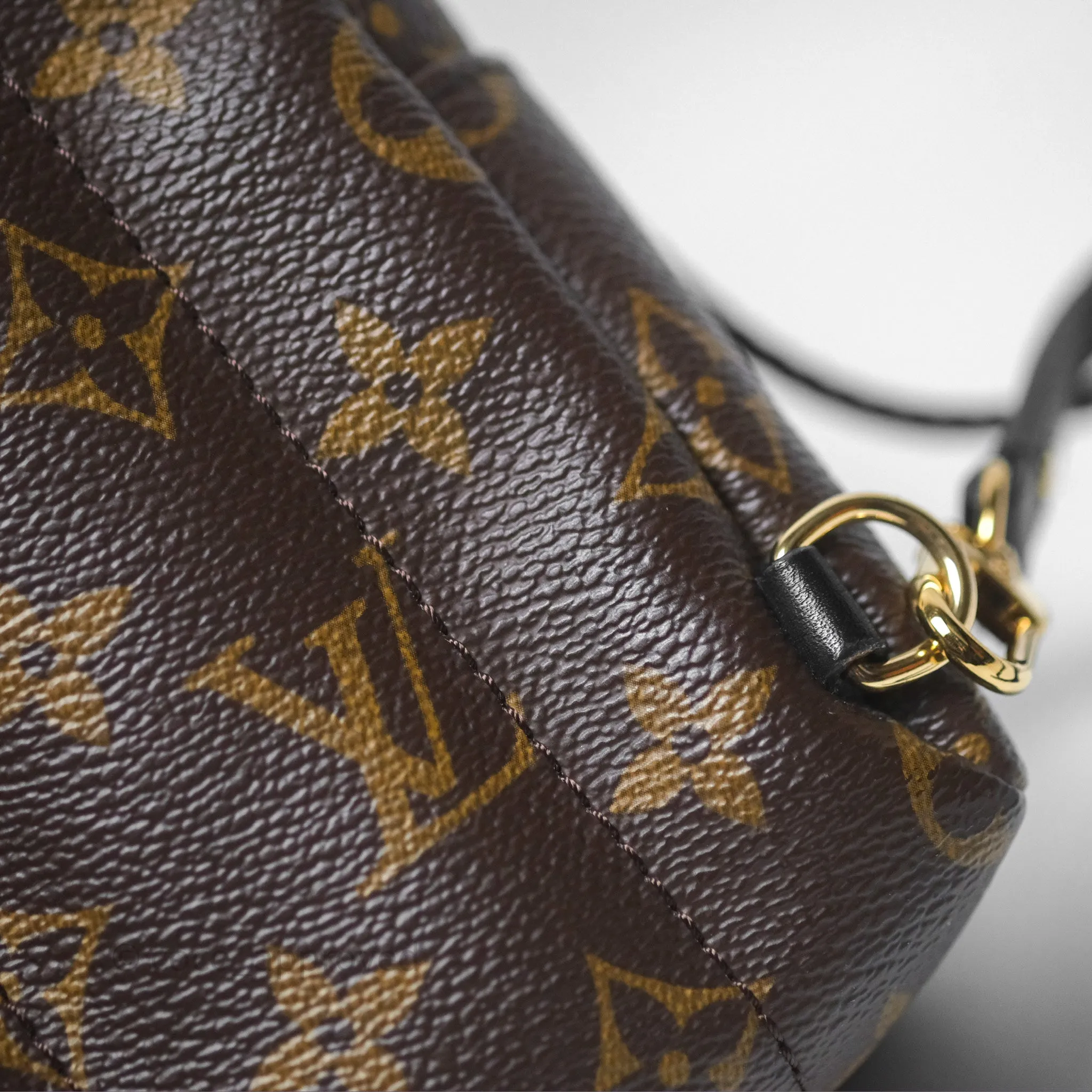 Louis Vuitton Monogram Mini Palm Springs Backpack