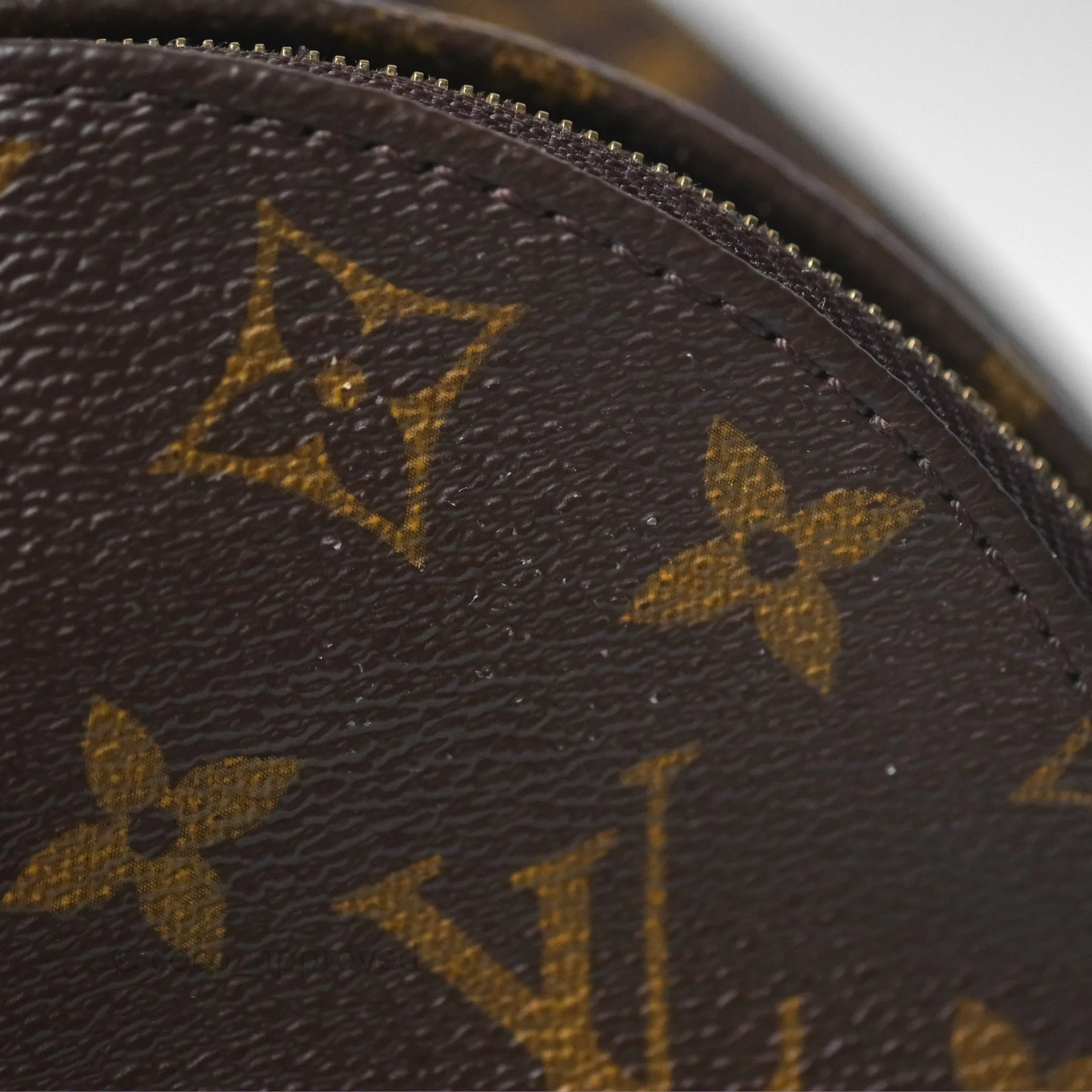 Louis Vuitton Monogram Mini Palm Springs Backpack