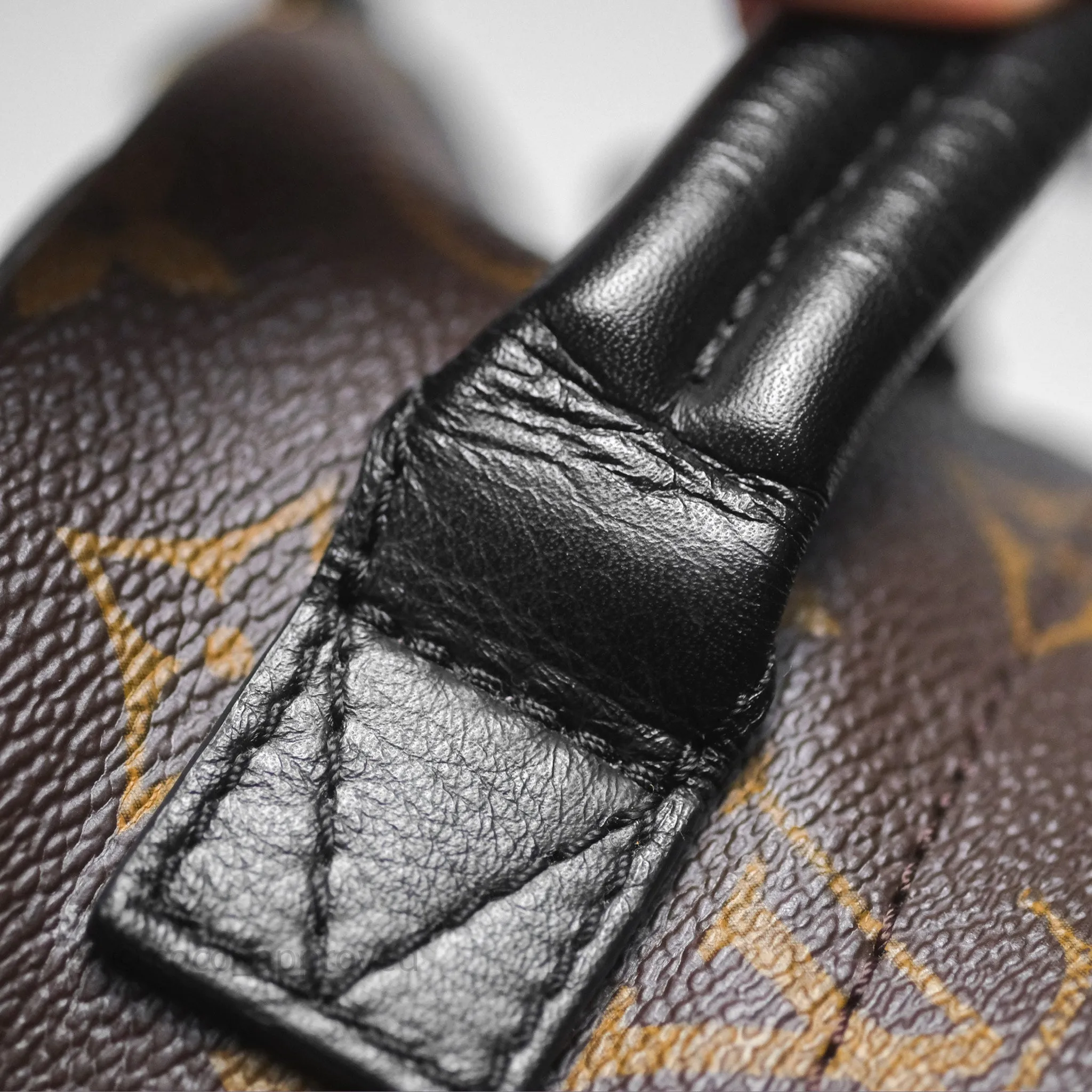 Louis Vuitton Monogram Mini Palm Springs Backpack