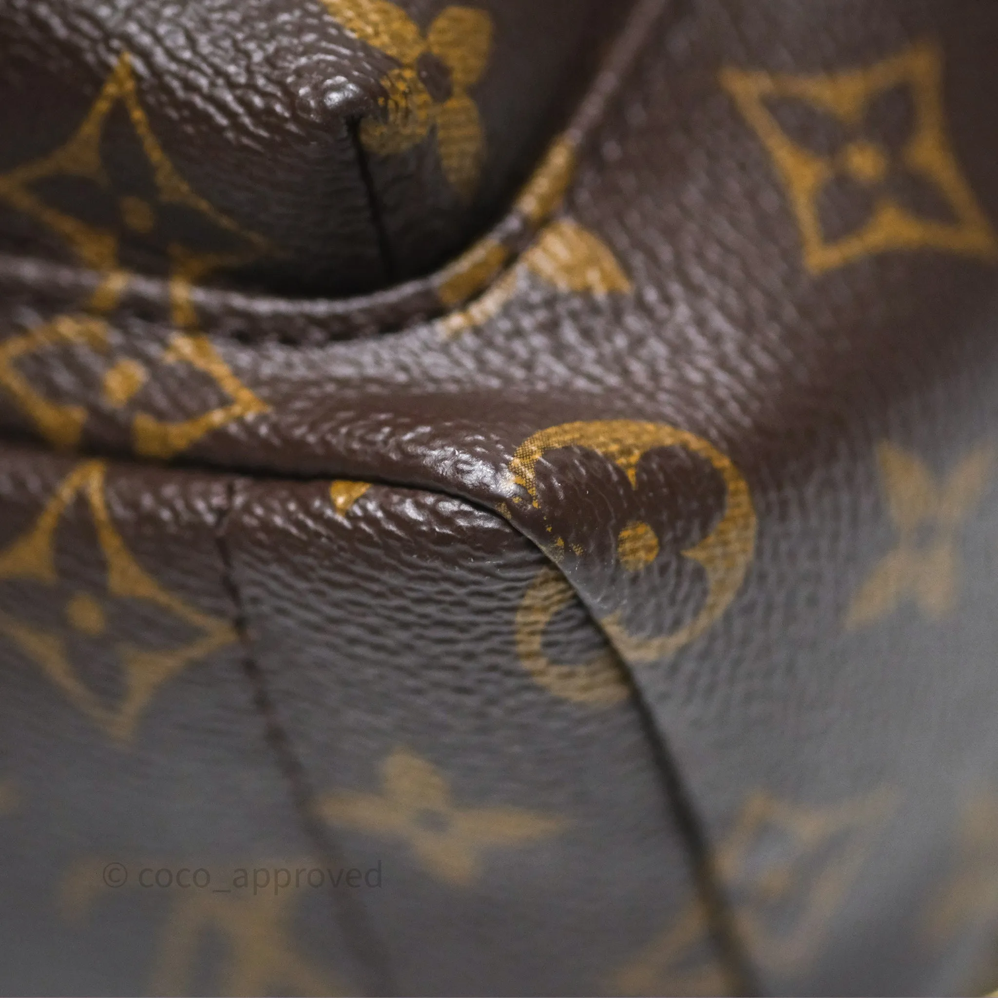 Louis Vuitton Monogram Mini Palm Springs Backpack