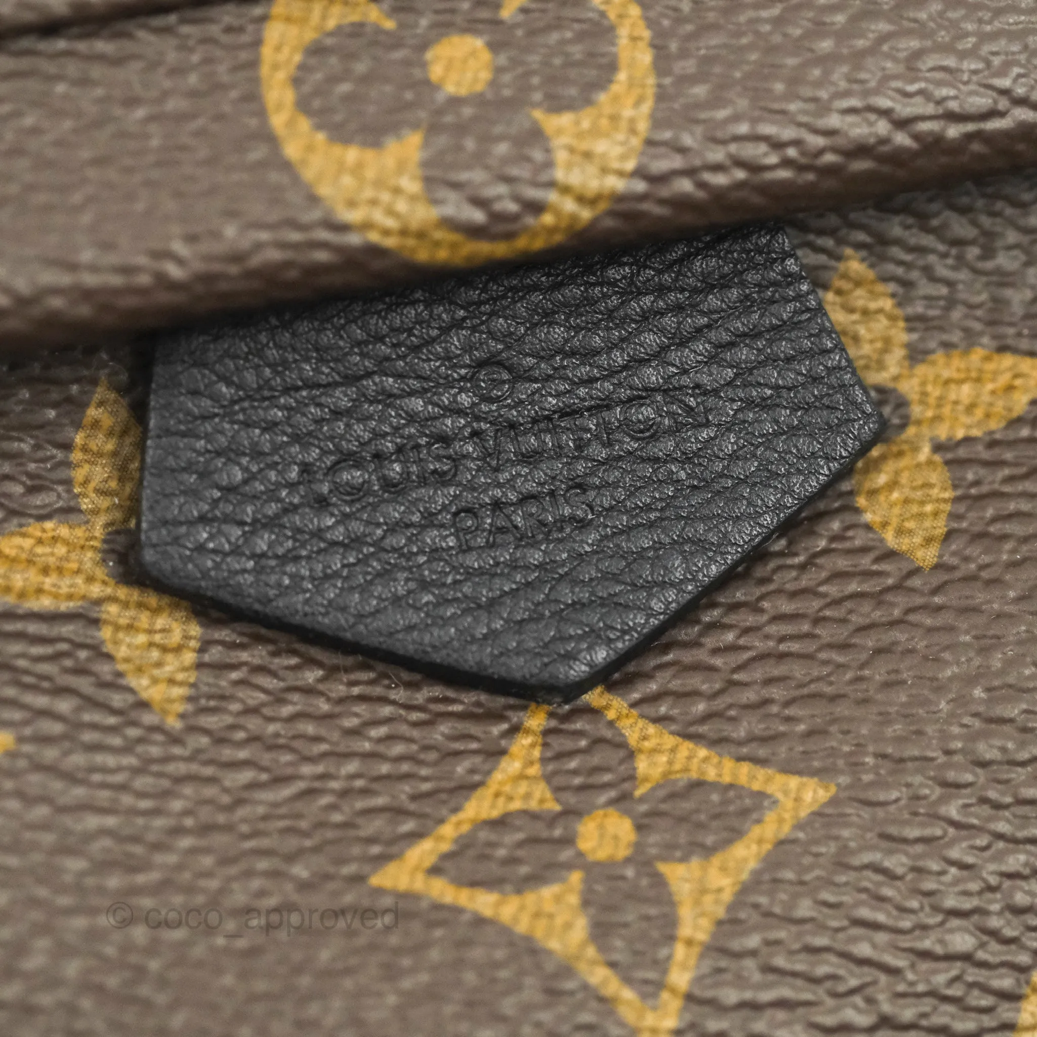 Louis Vuitton Monogram Mini Palm Springs Backpack