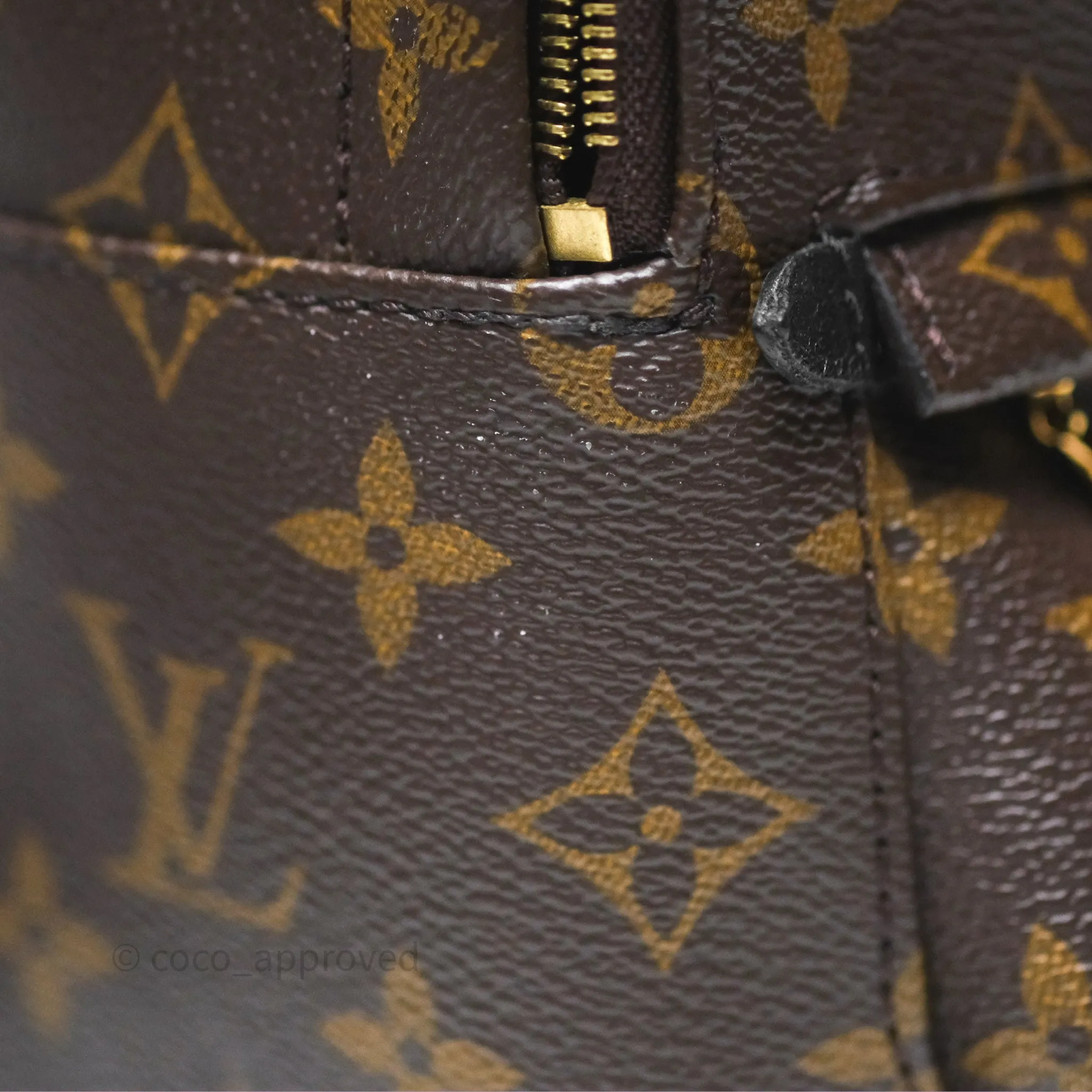 Louis Vuitton Monogram Mini Palm Springs Backpack