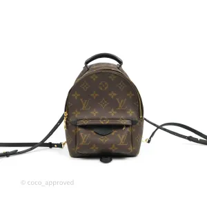 Louis Vuitton Monogram Mini Palm Springs Backpack