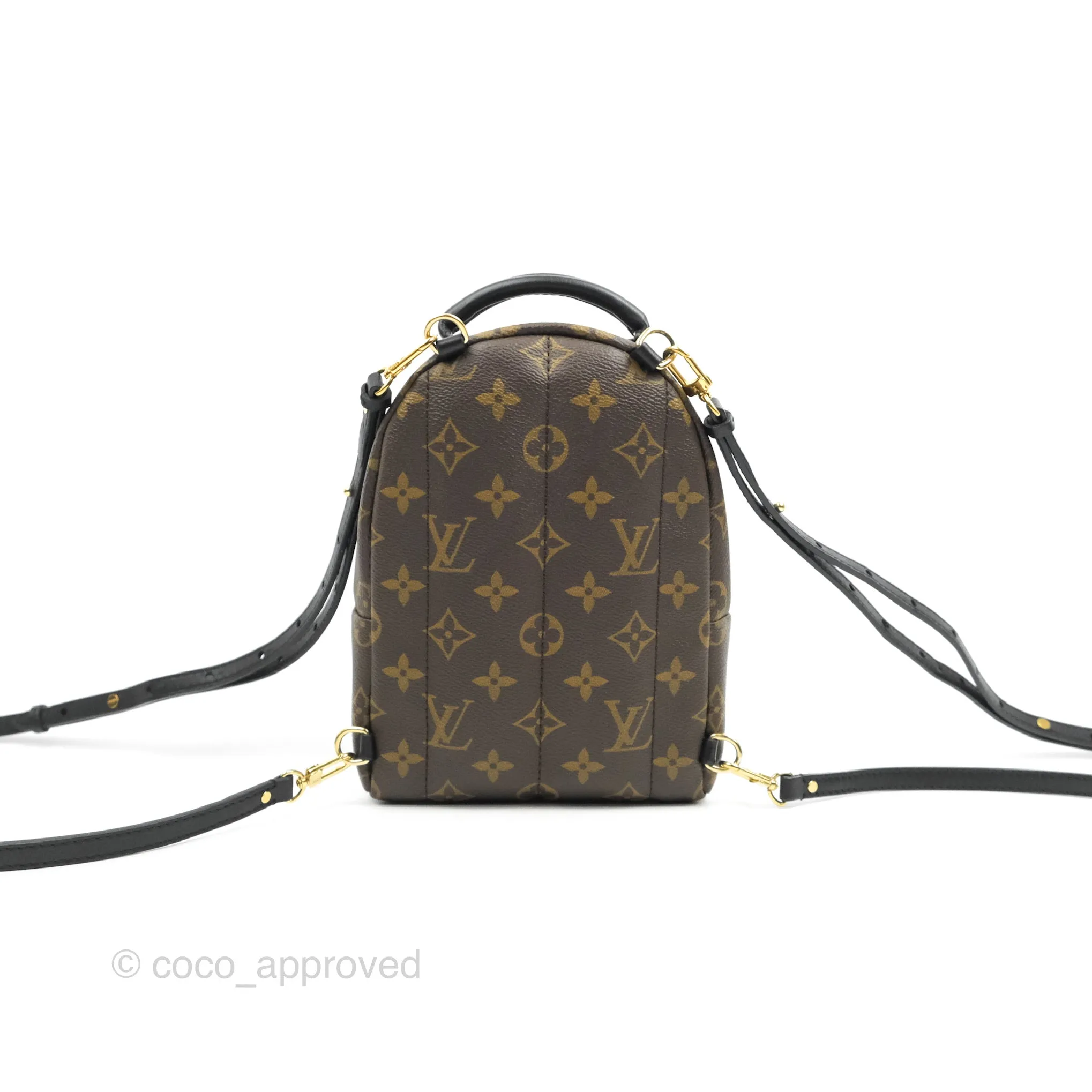 Louis Vuitton Monogram Mini Palm Springs Backpack