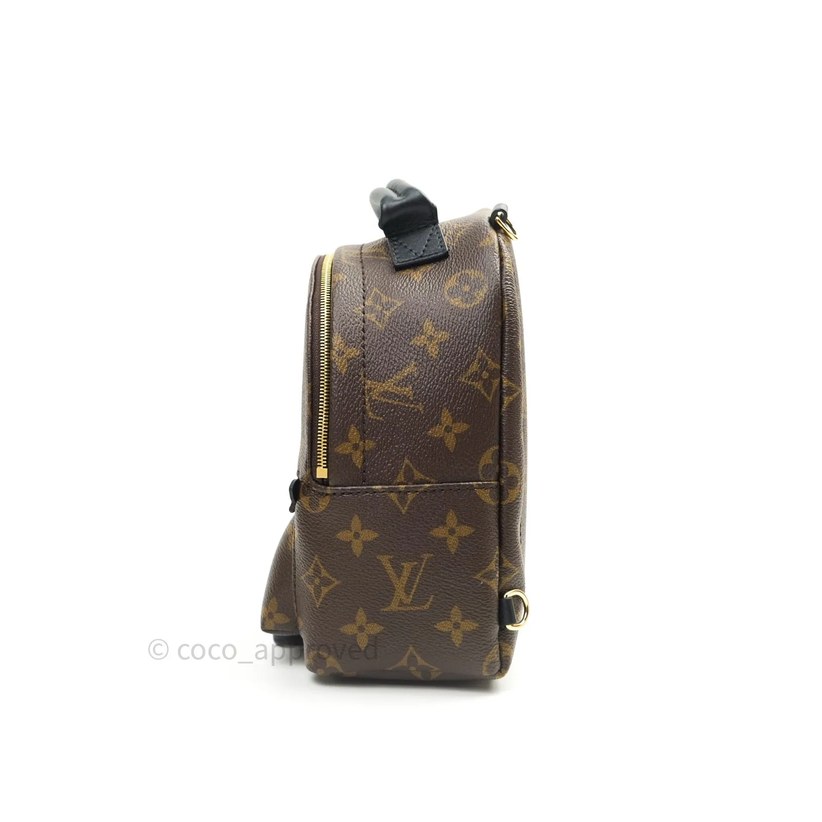 Louis Vuitton Monogram Mini Palm Springs Backpack