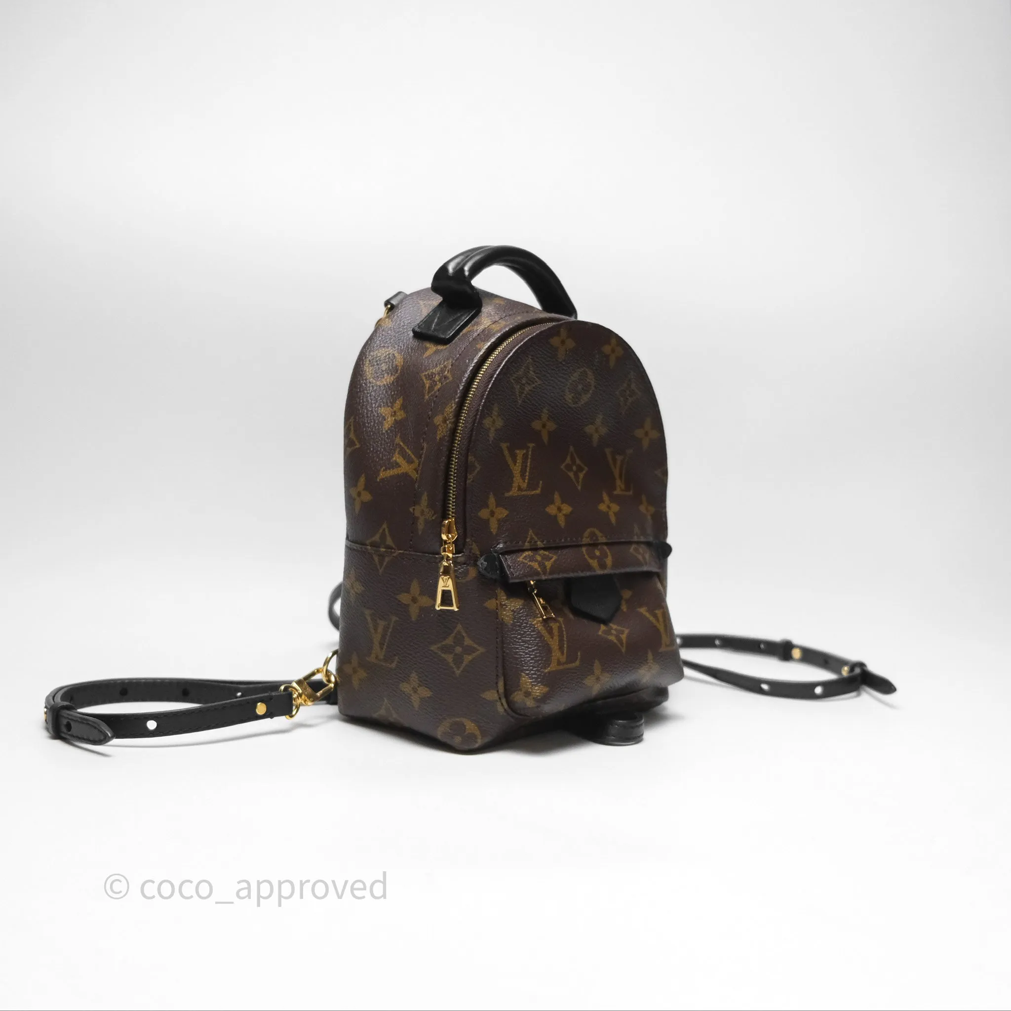 Louis Vuitton Monogram Mini Palm Springs Backpack