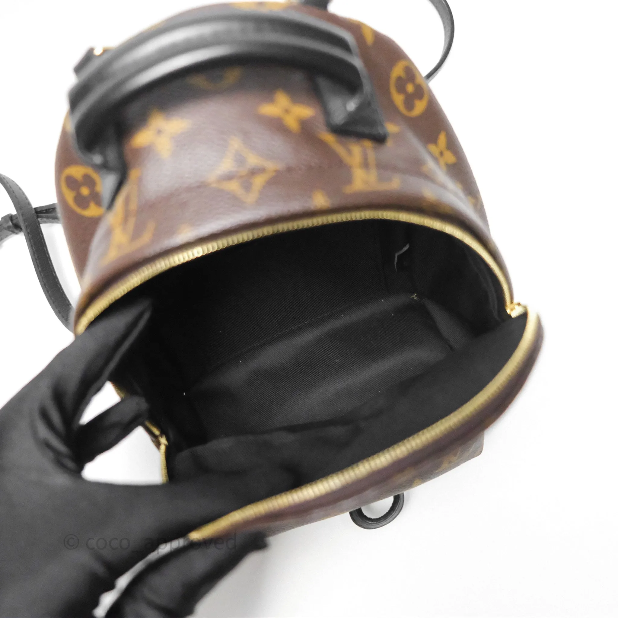 Louis Vuitton Monogram Mini Palm Springs Backpack