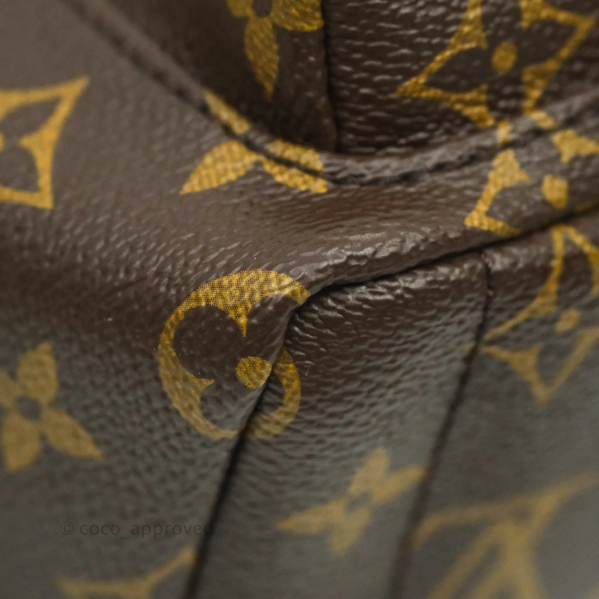 Louis Vuitton Monogram Mini Palm Springs Backpack