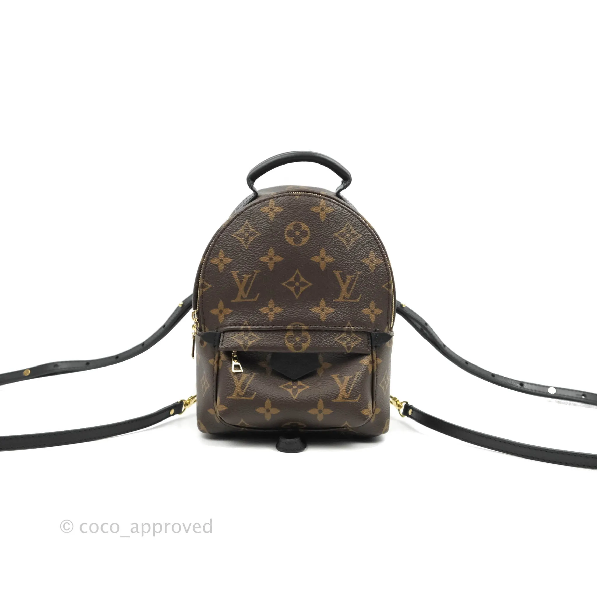 Louis Vuitton Monogram Mini Palm Springs Backpack