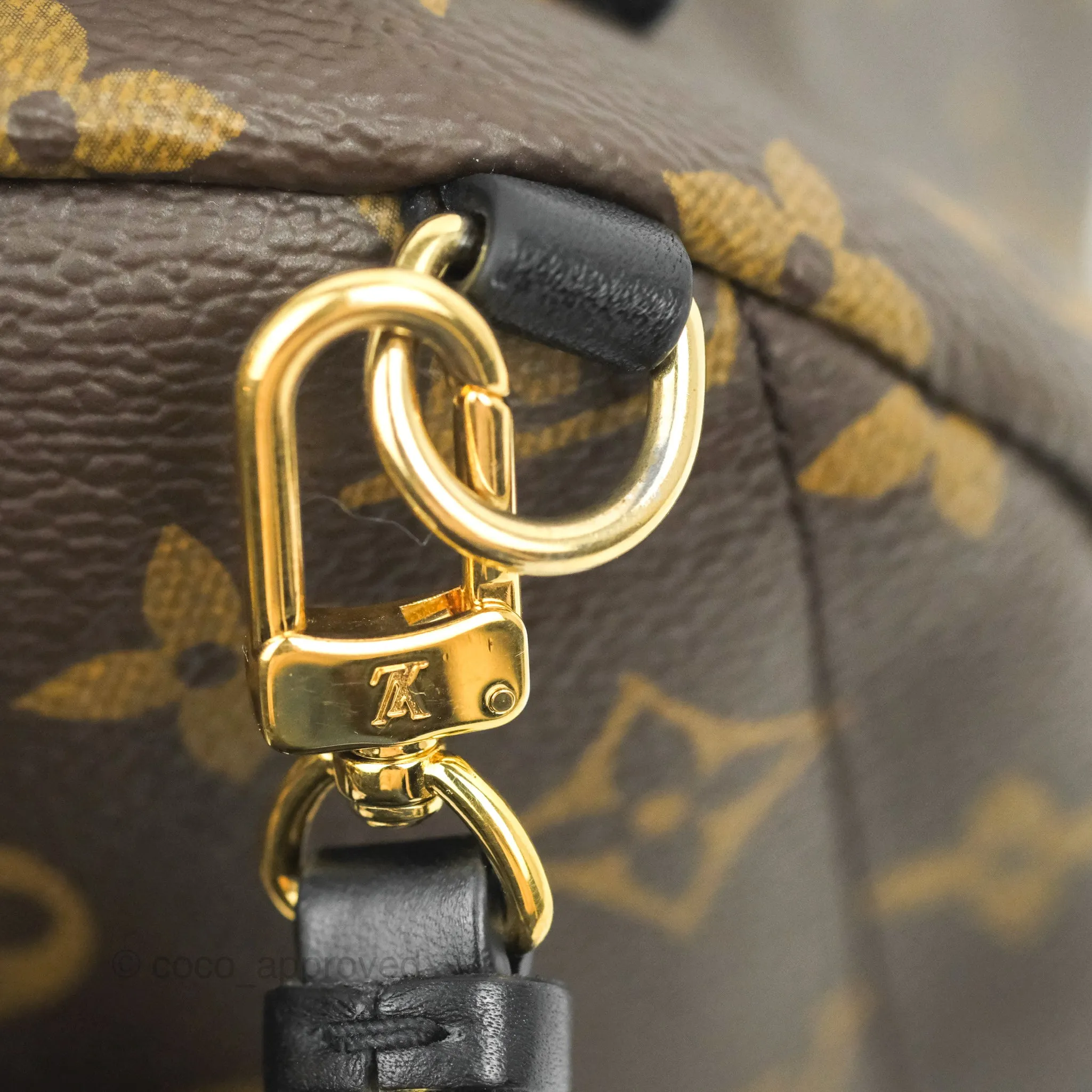 Louis Vuitton Monogram Mini Palm Springs Backpack