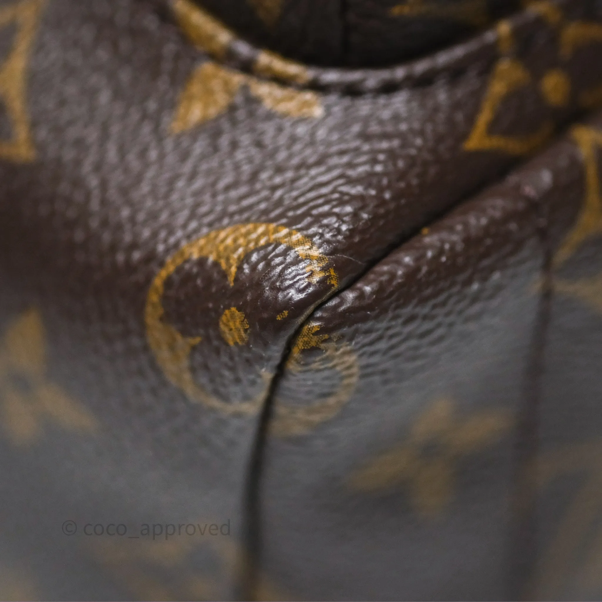 Louis Vuitton Monogram Mini Palm Springs Backpack