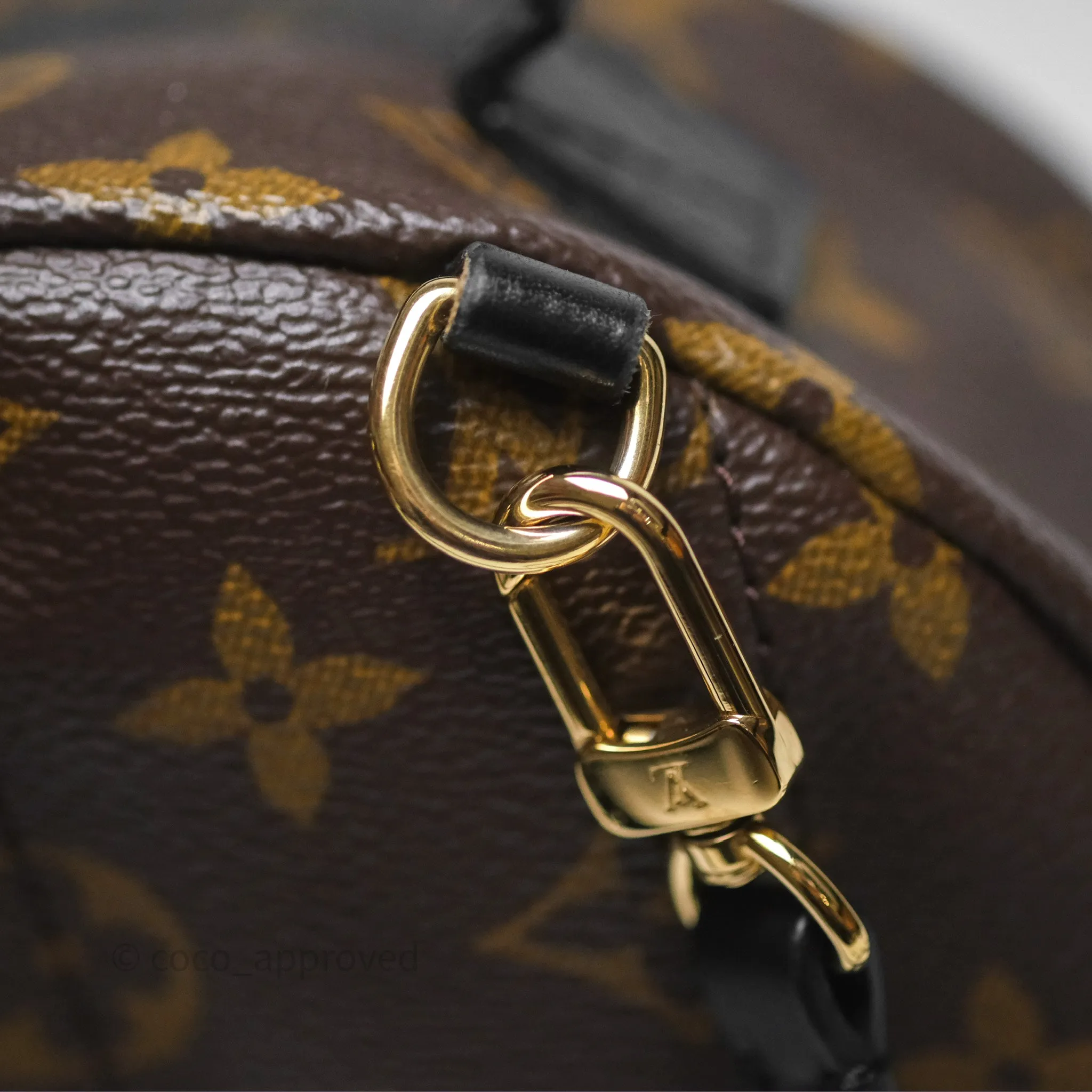 Louis Vuitton Monogram Mini Palm Springs Backpack