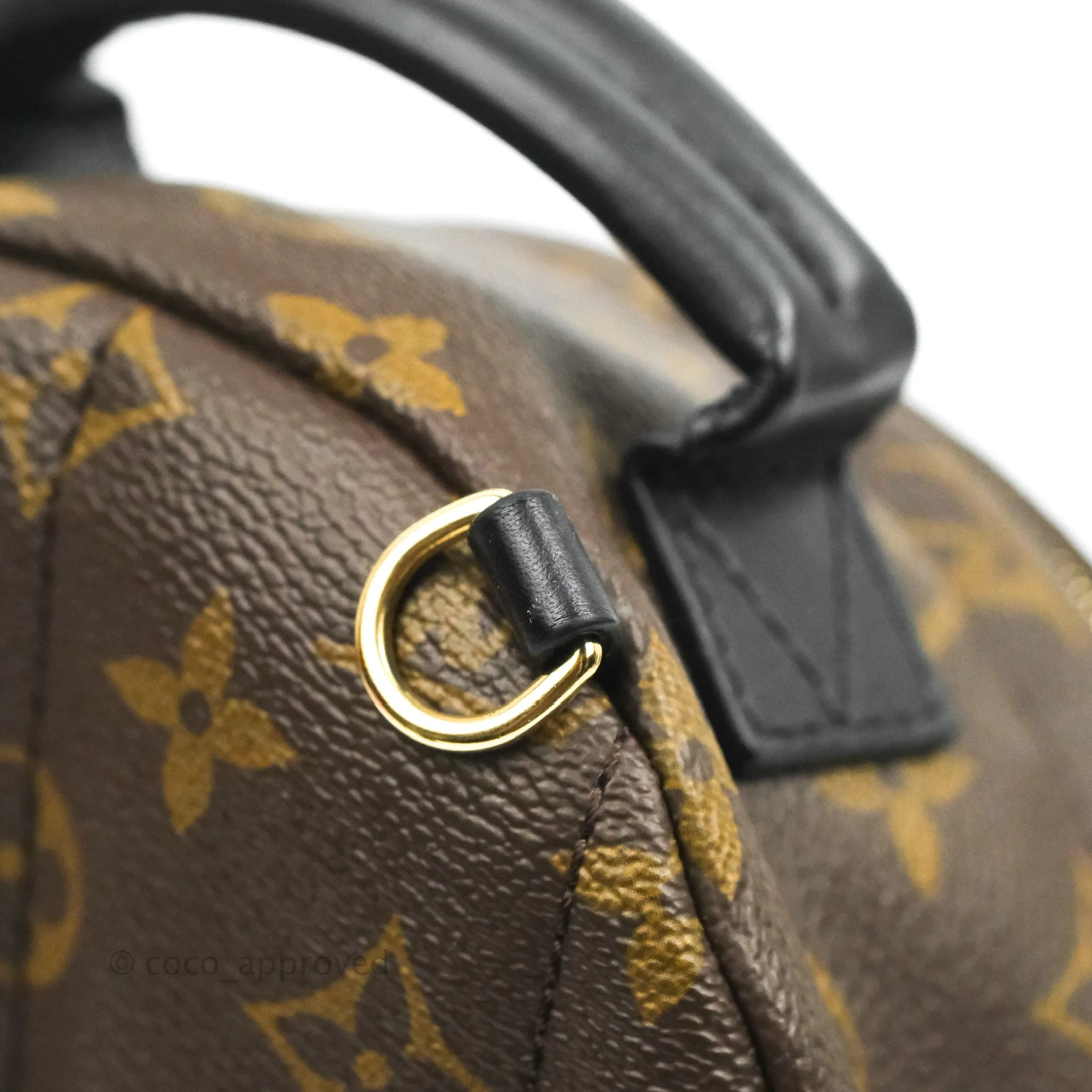Louis Vuitton Monogram Mini Palm Springs Backpack