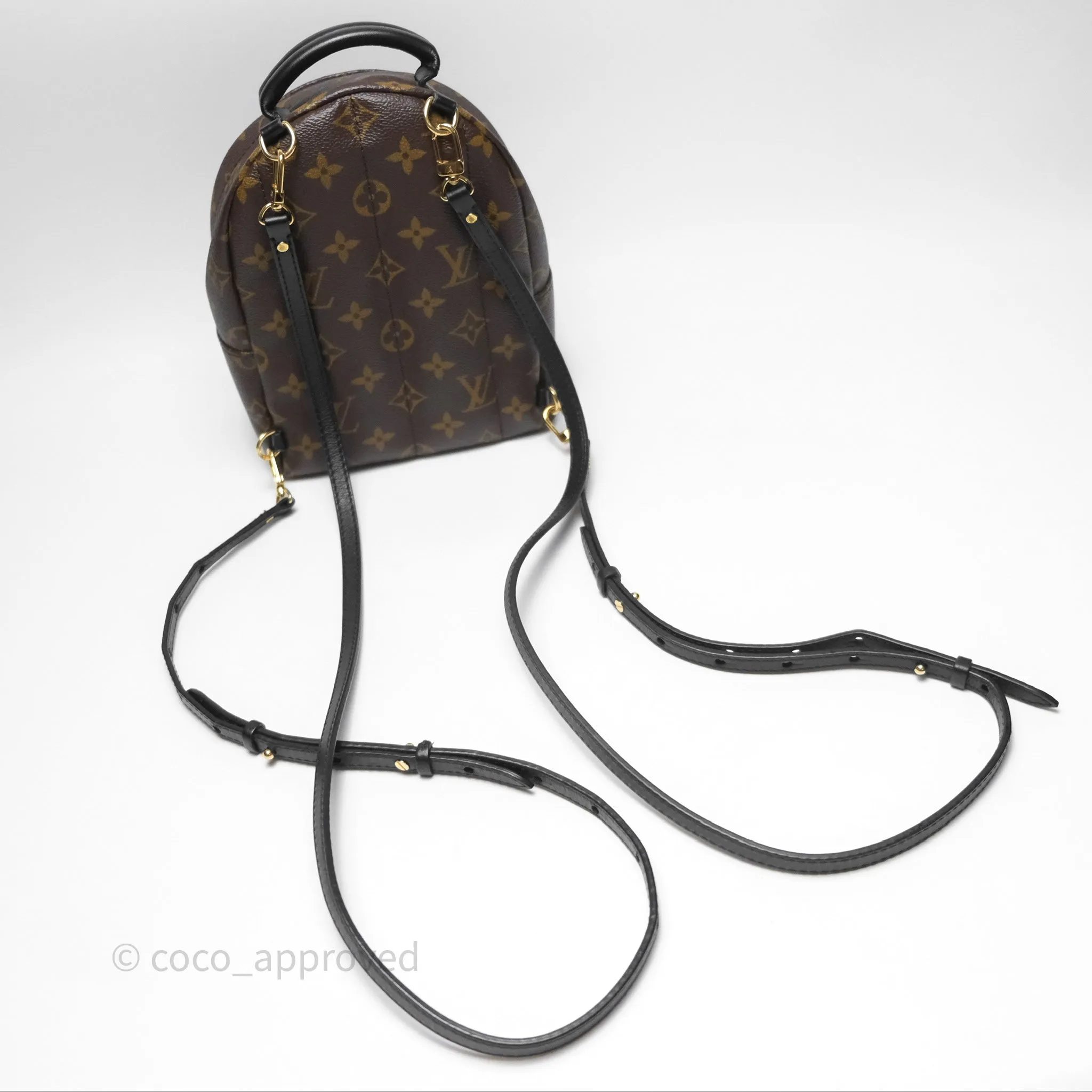 Louis Vuitton Monogram Mini Palm Springs Backpack