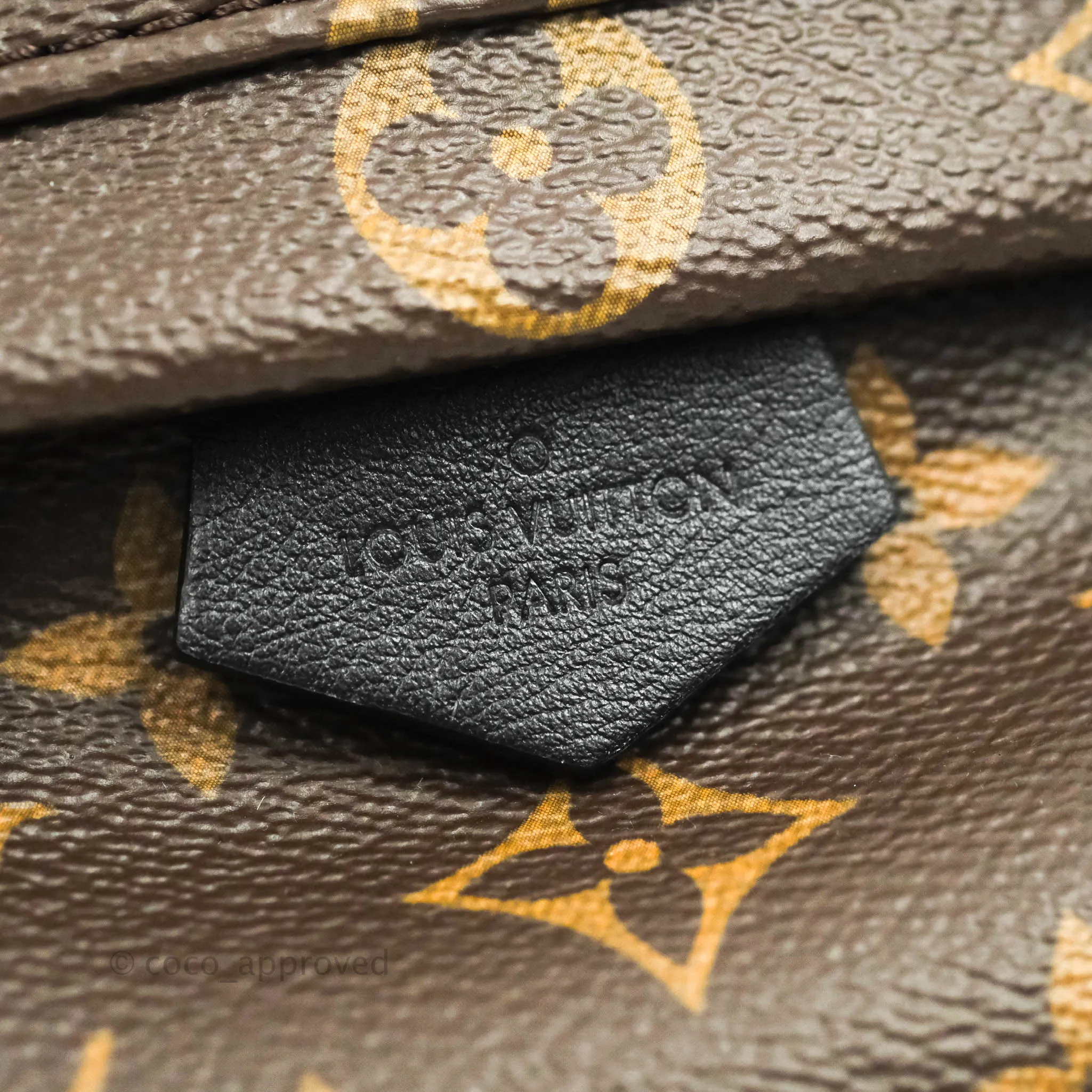 Louis Vuitton Monogram Mini Palm Springs Backpack