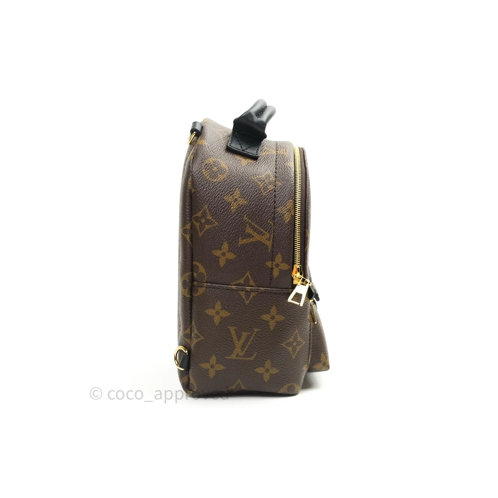 Louis Vuitton Monogram Mini Palm Springs Backpack