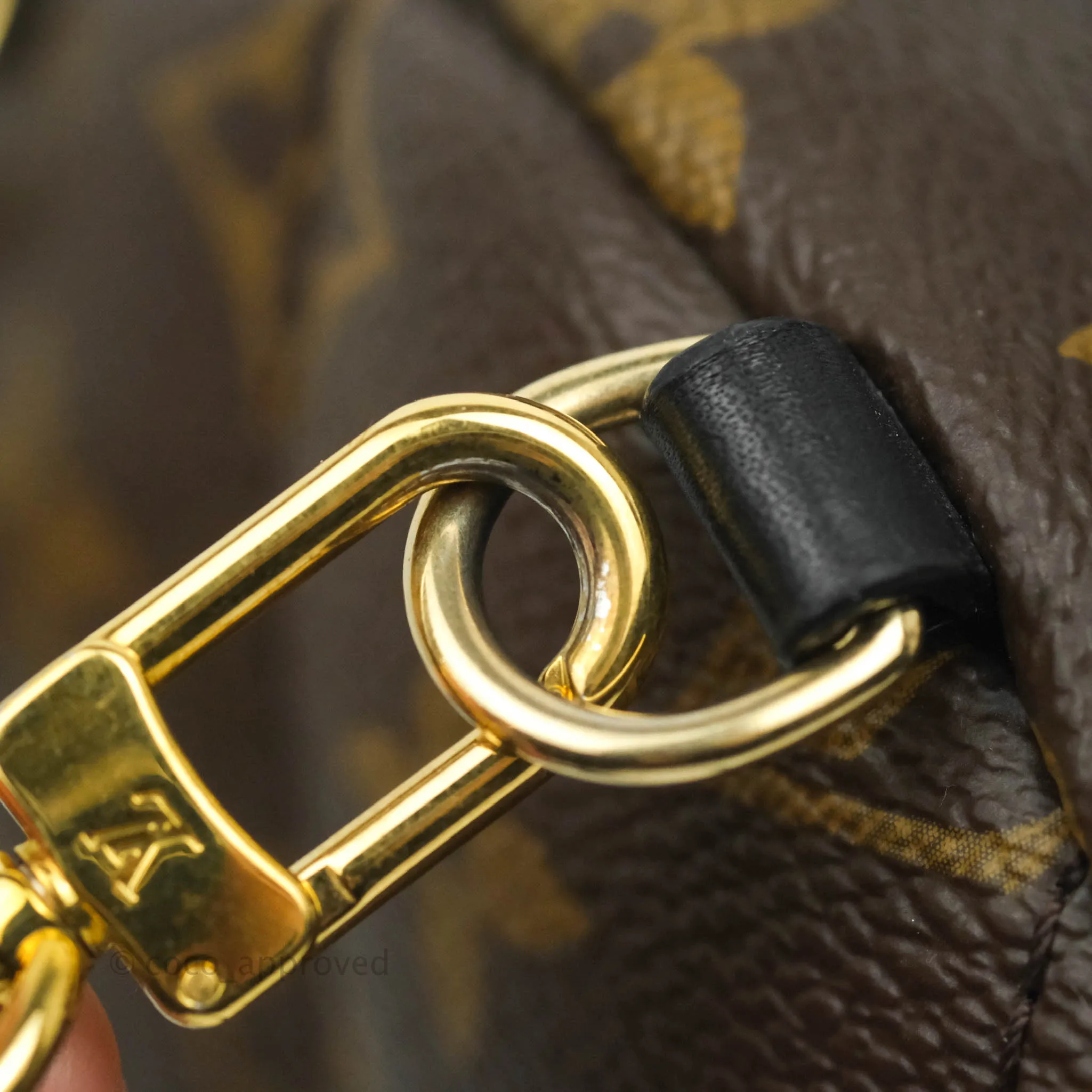 Louis Vuitton Monogram Mini Palm Springs Backpack