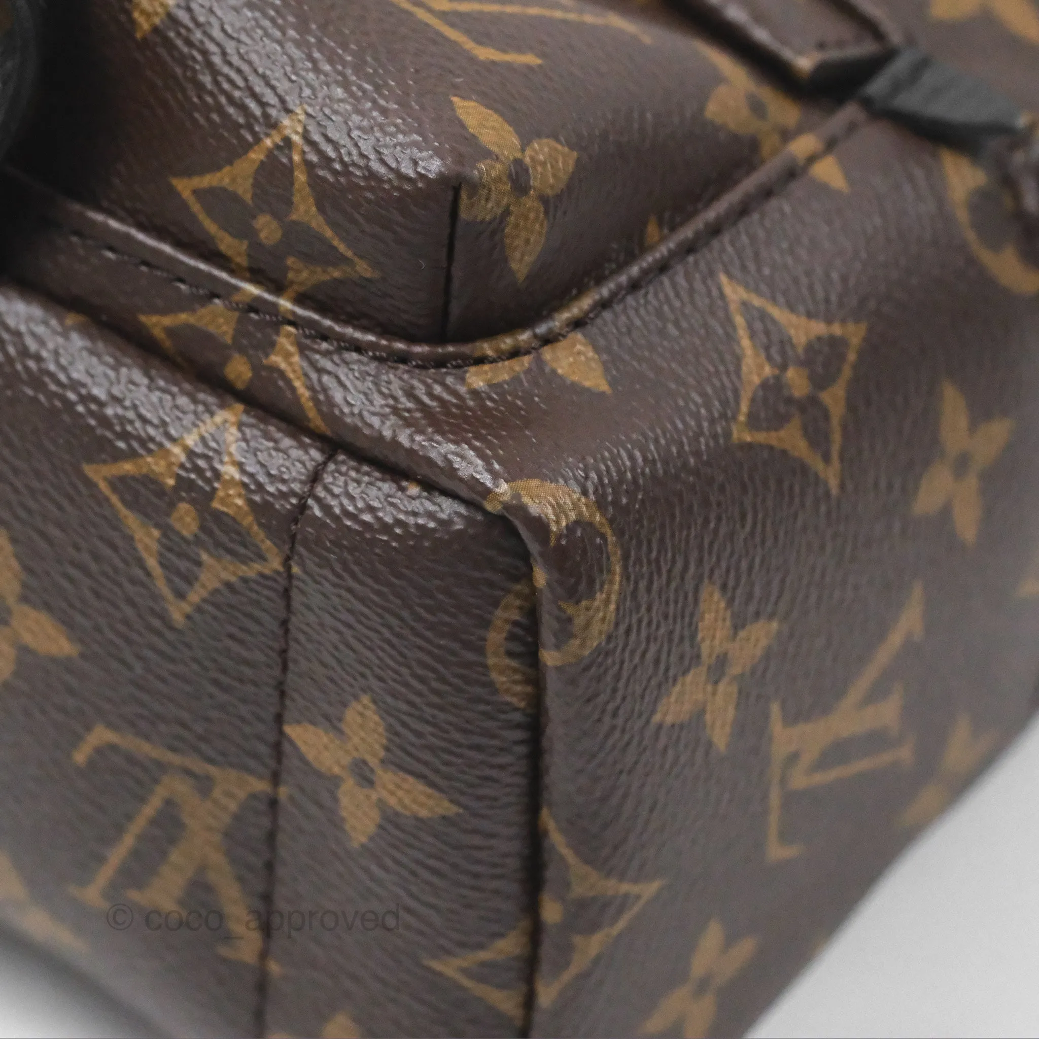 Louis Vuitton Monogram Mini Palm Springs Backpack