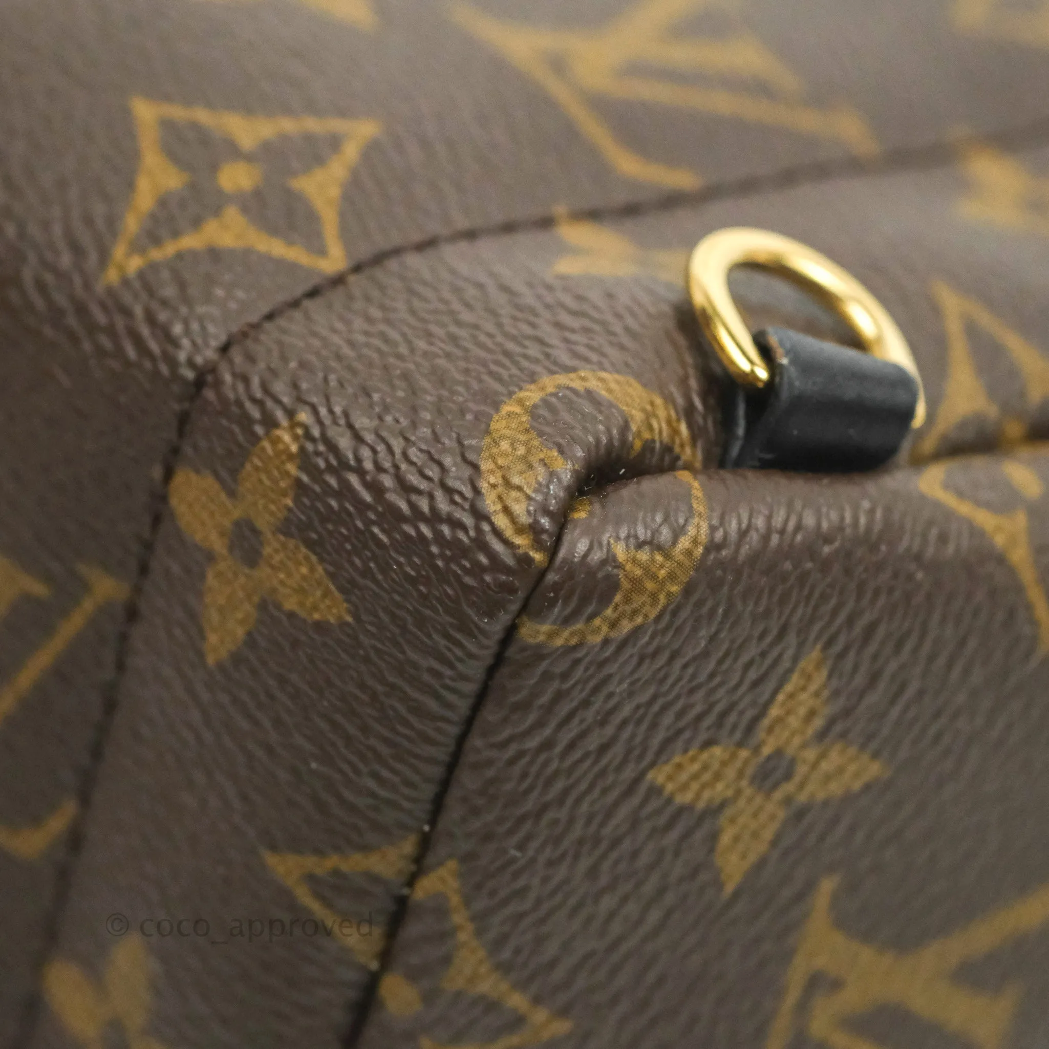 Louis Vuitton Monogram Mini Palm Springs Backpack