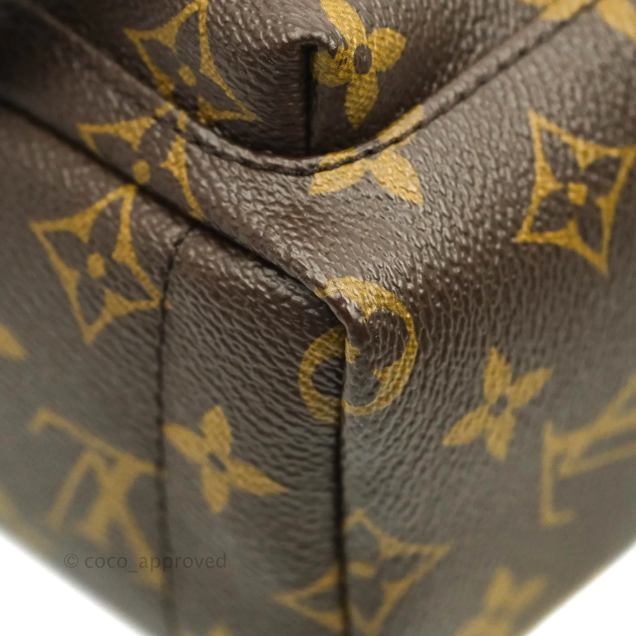Louis Vuitton Monogram Mini Palm Springs Backpack