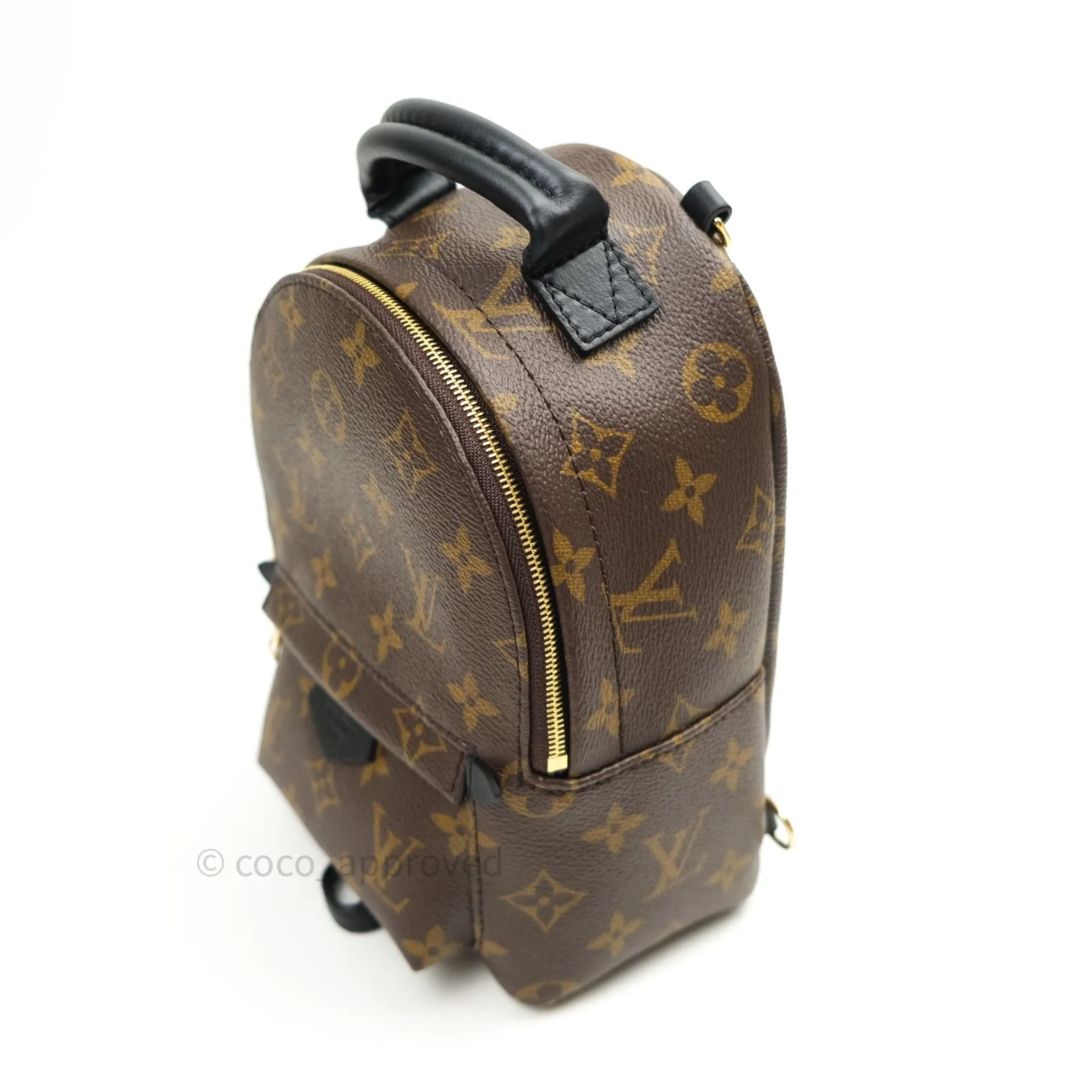 Louis Vuitton Monogram Mini Palm Springs Backpack