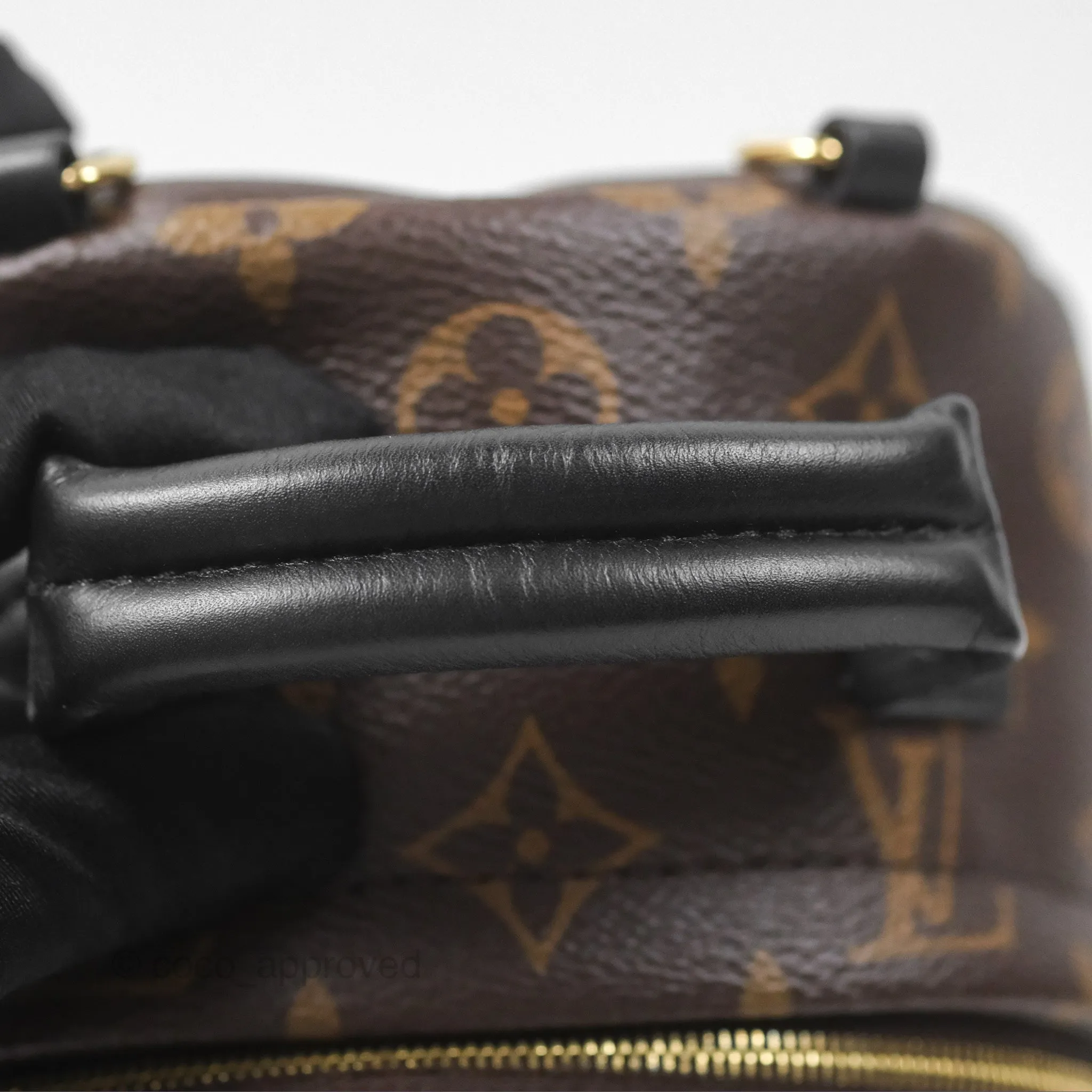 Louis Vuitton Monogram Mini Palm Springs Backpack