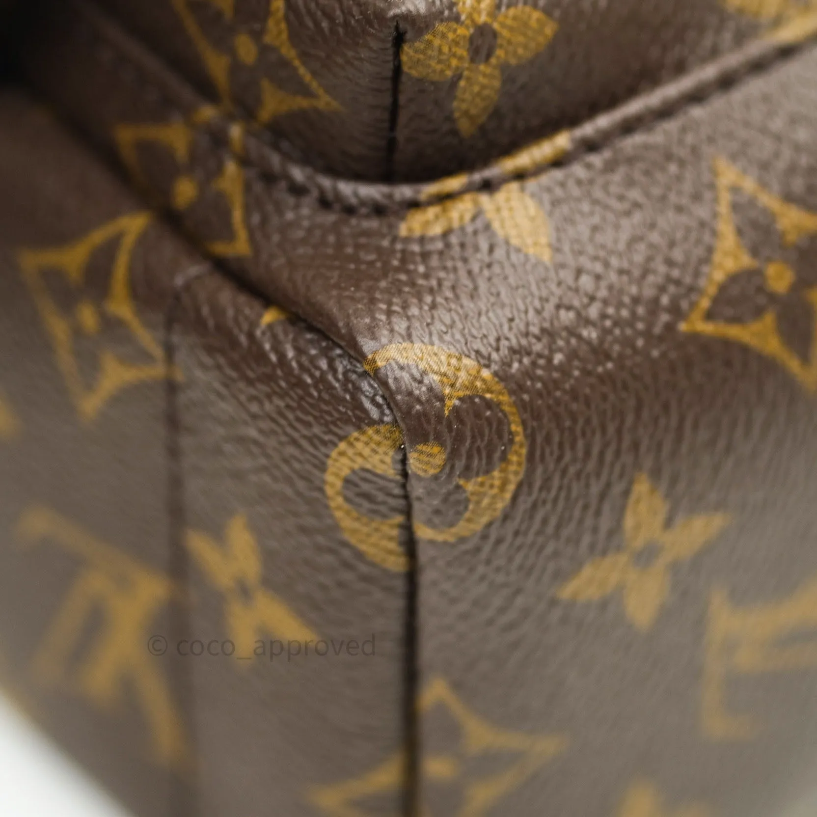 Louis Vuitton Monogram Mini Palm Springs Backpack
