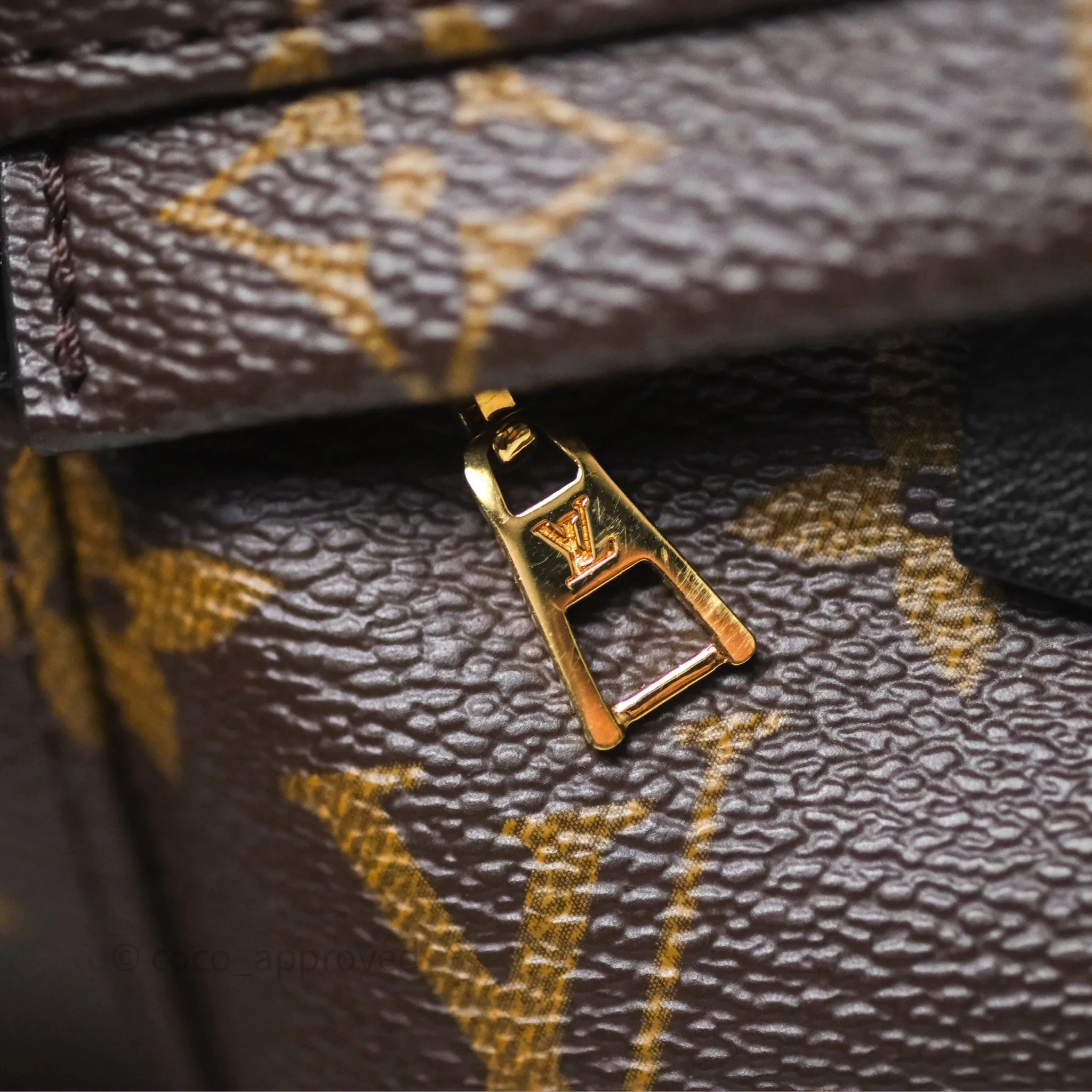 Louis Vuitton Monogram Mini Palm Springs Backpack