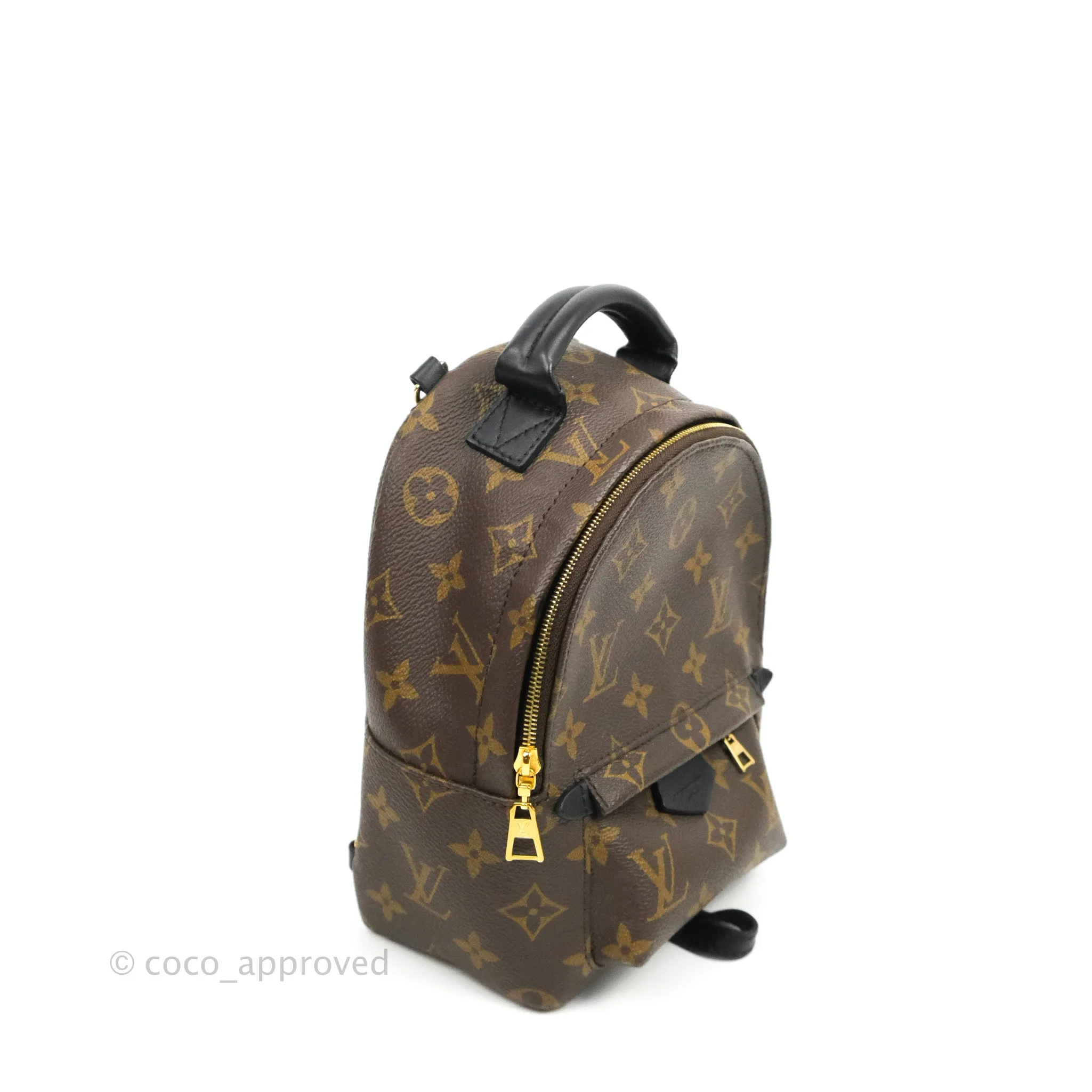 Louis Vuitton Monogram Mini Palm Springs Backpack