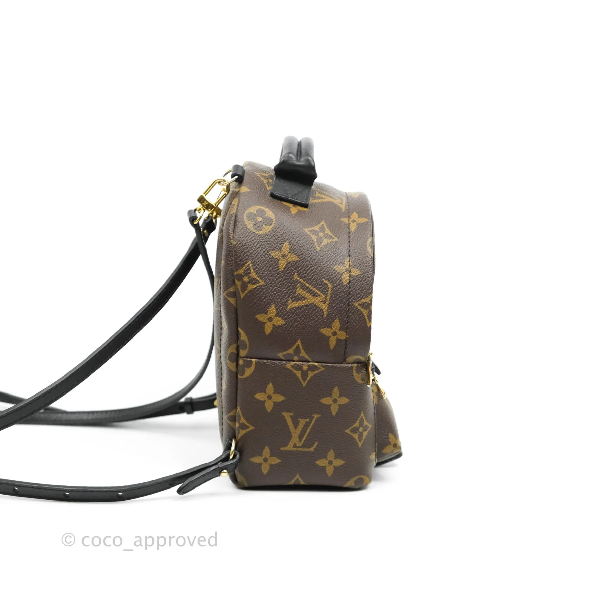 Louis Vuitton Monogram Mini Palm Springs Backpack