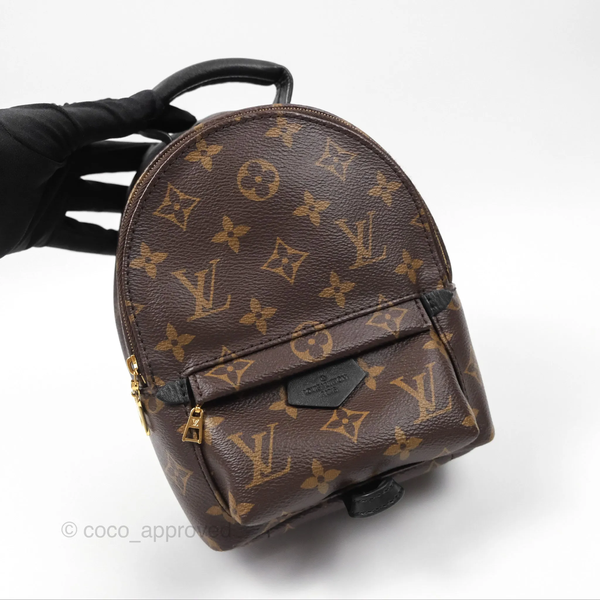 Louis Vuitton Monogram Mini Palm Springs Backpack