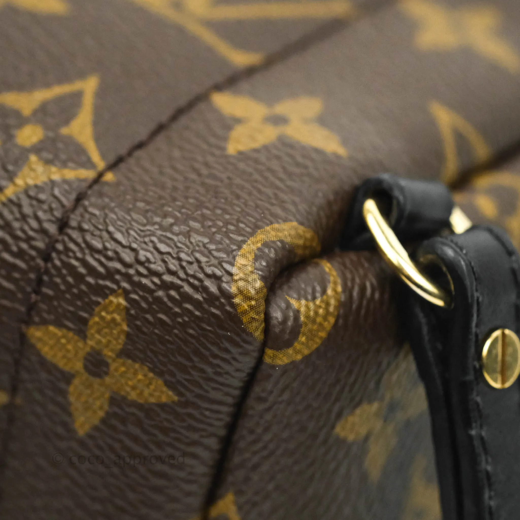 Louis Vuitton Monogram Mini Palm Springs Backpack