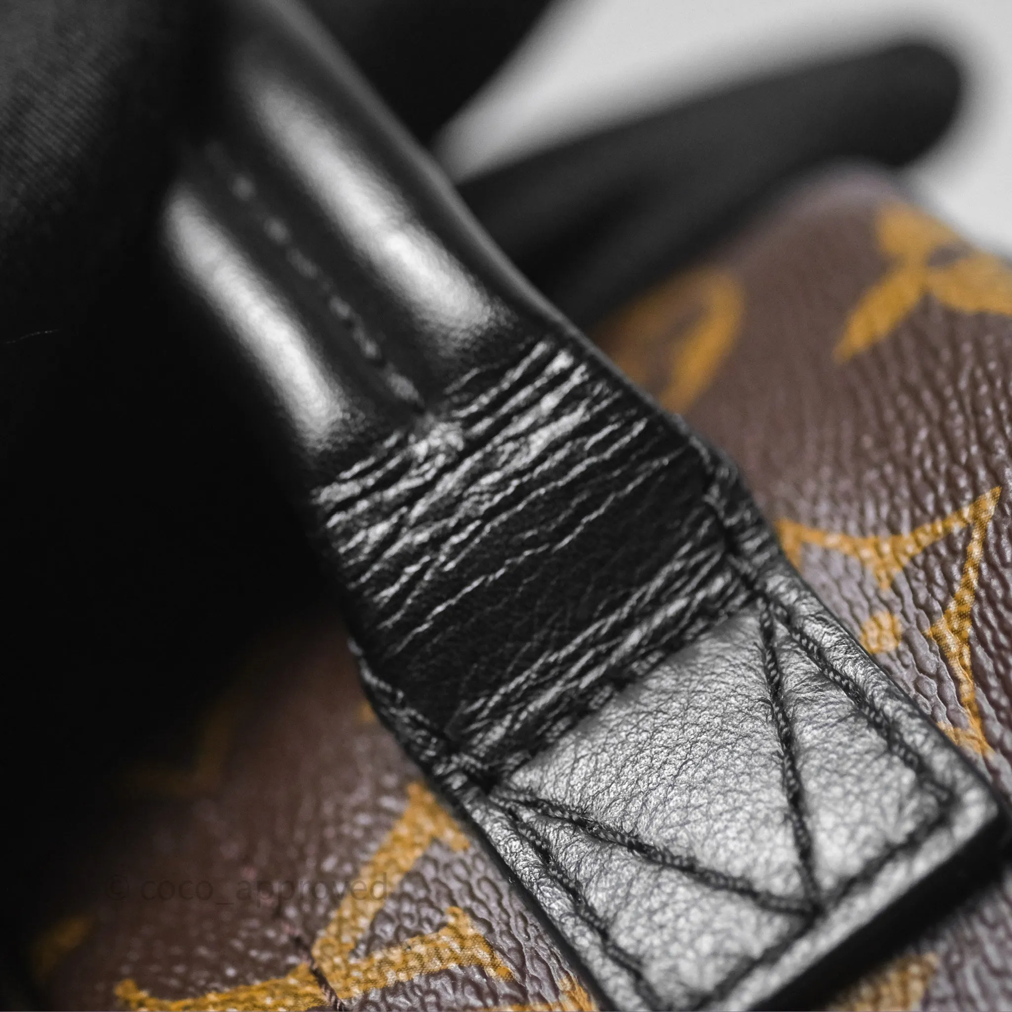 Louis Vuitton Monogram Mini Palm Springs Backpack