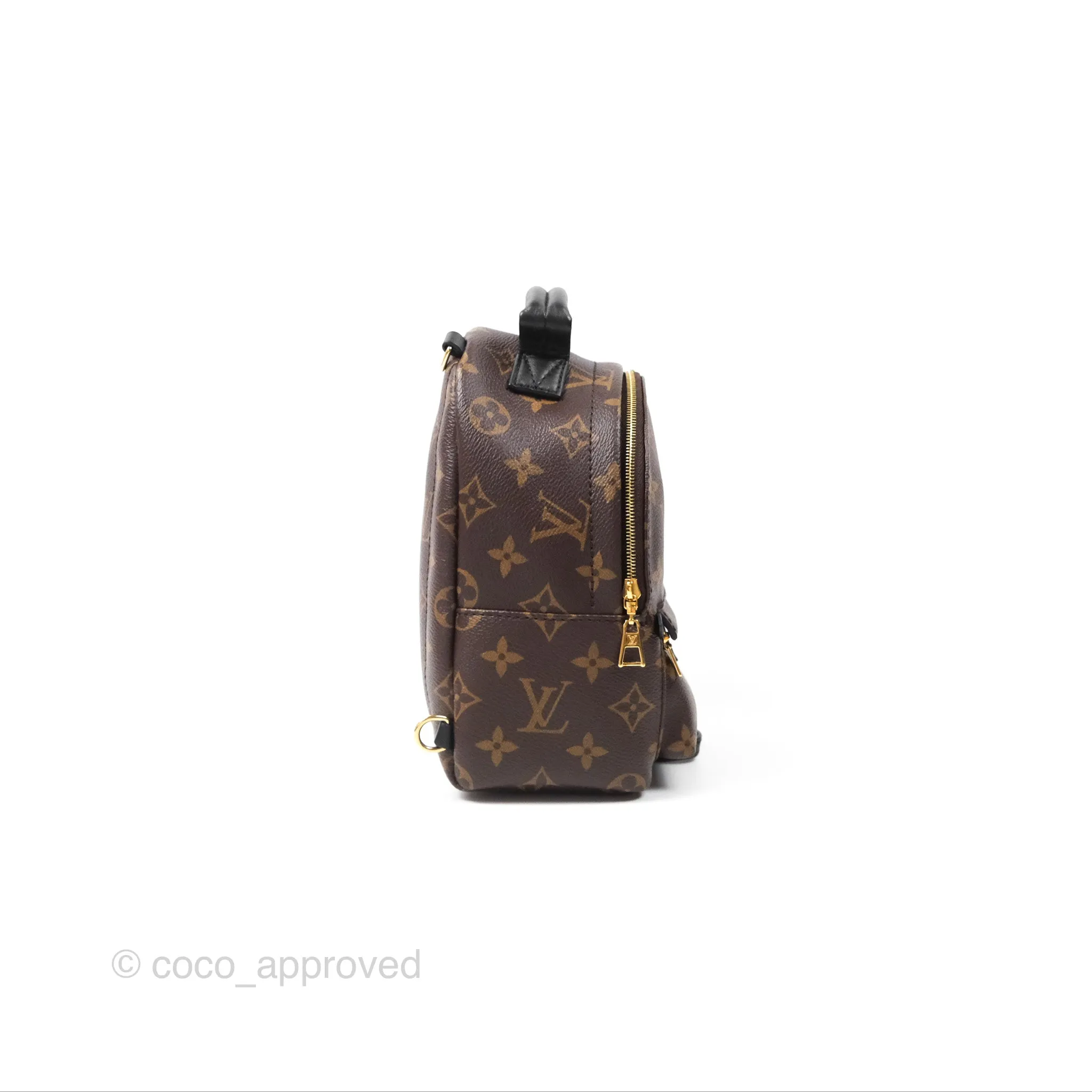 Louis Vuitton Monogram Mini Palm Springs Backpack