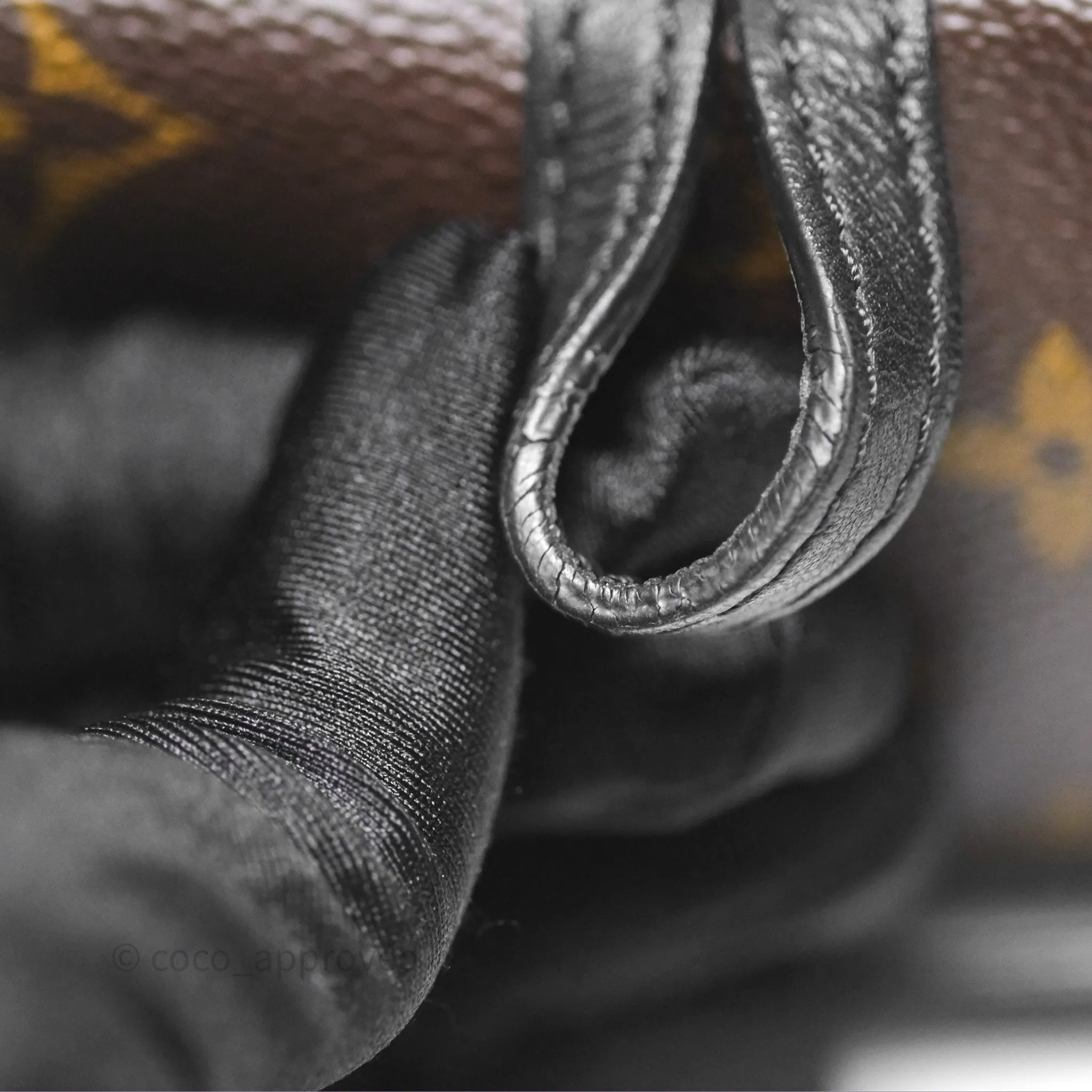 Louis Vuitton Monogram Mini Palm Springs Backpack